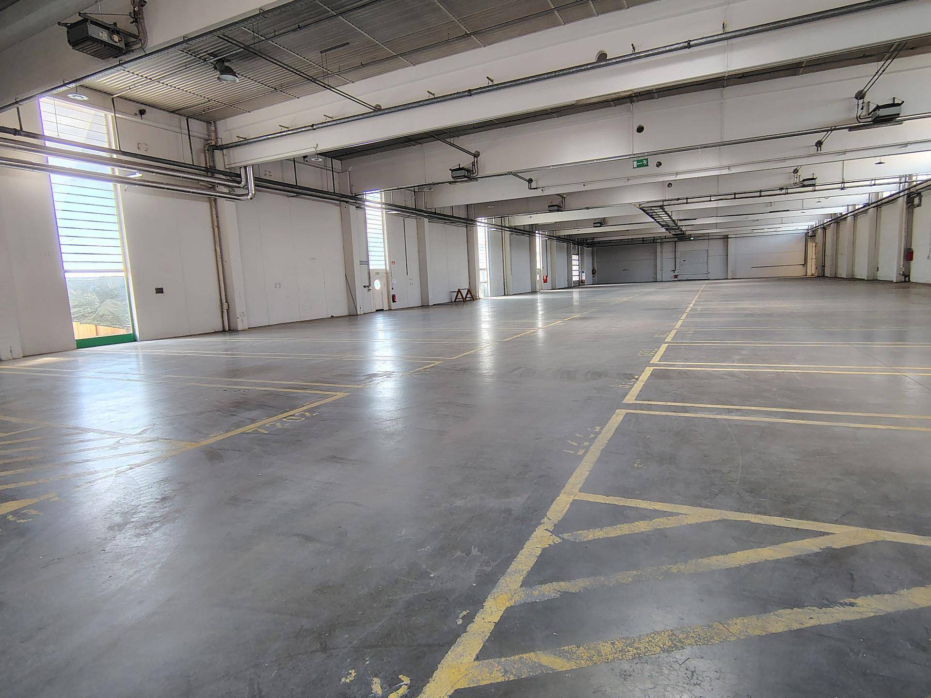Moderne Lagerhalle mit 2701 m² und 8 m Raumhöhe ab sofort verfügbar - Ansicht 3