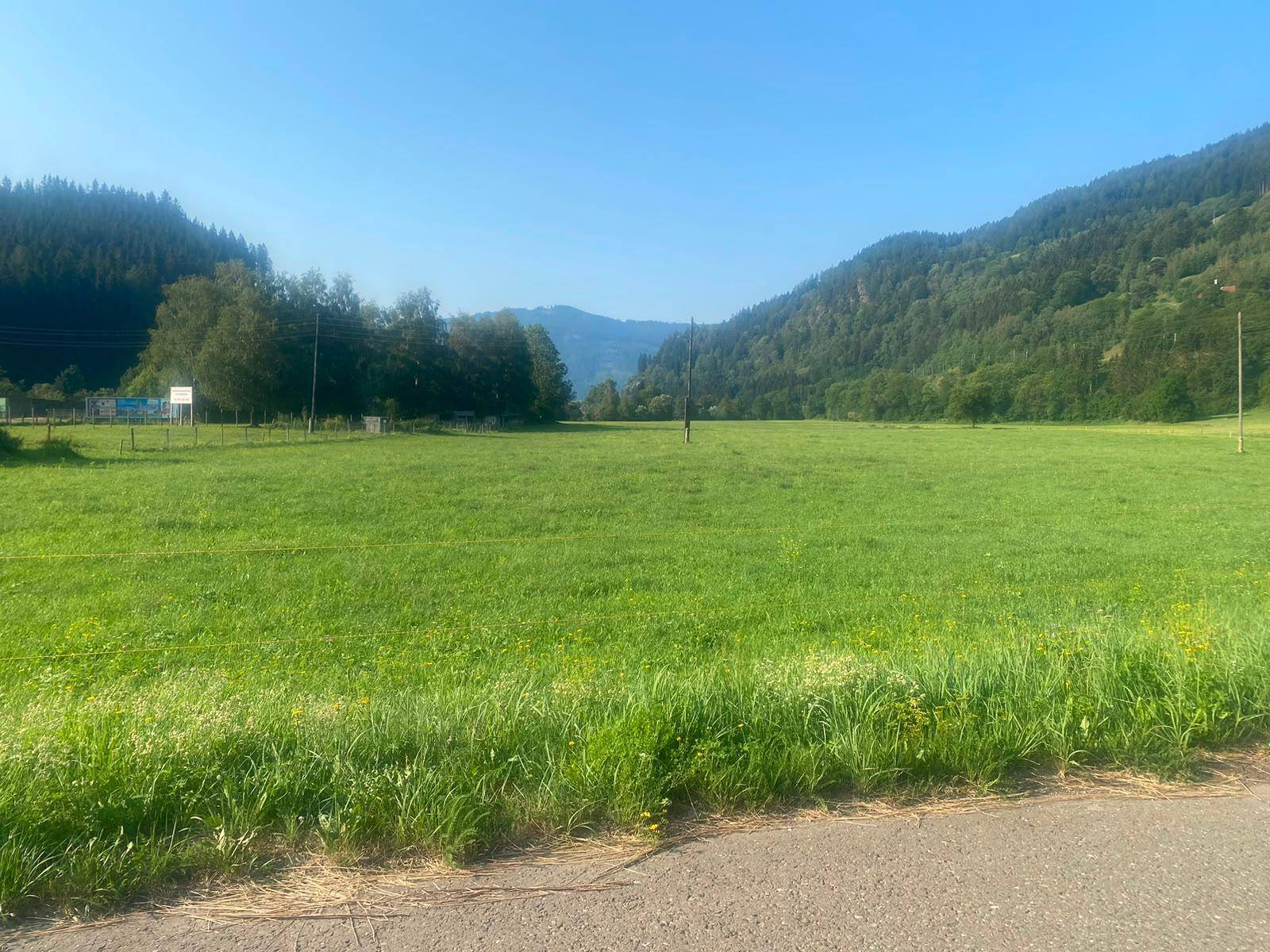 Weite grüne Wiesenlandschaft mit bewaldeten Bergen unter klarem blauen Himmel.