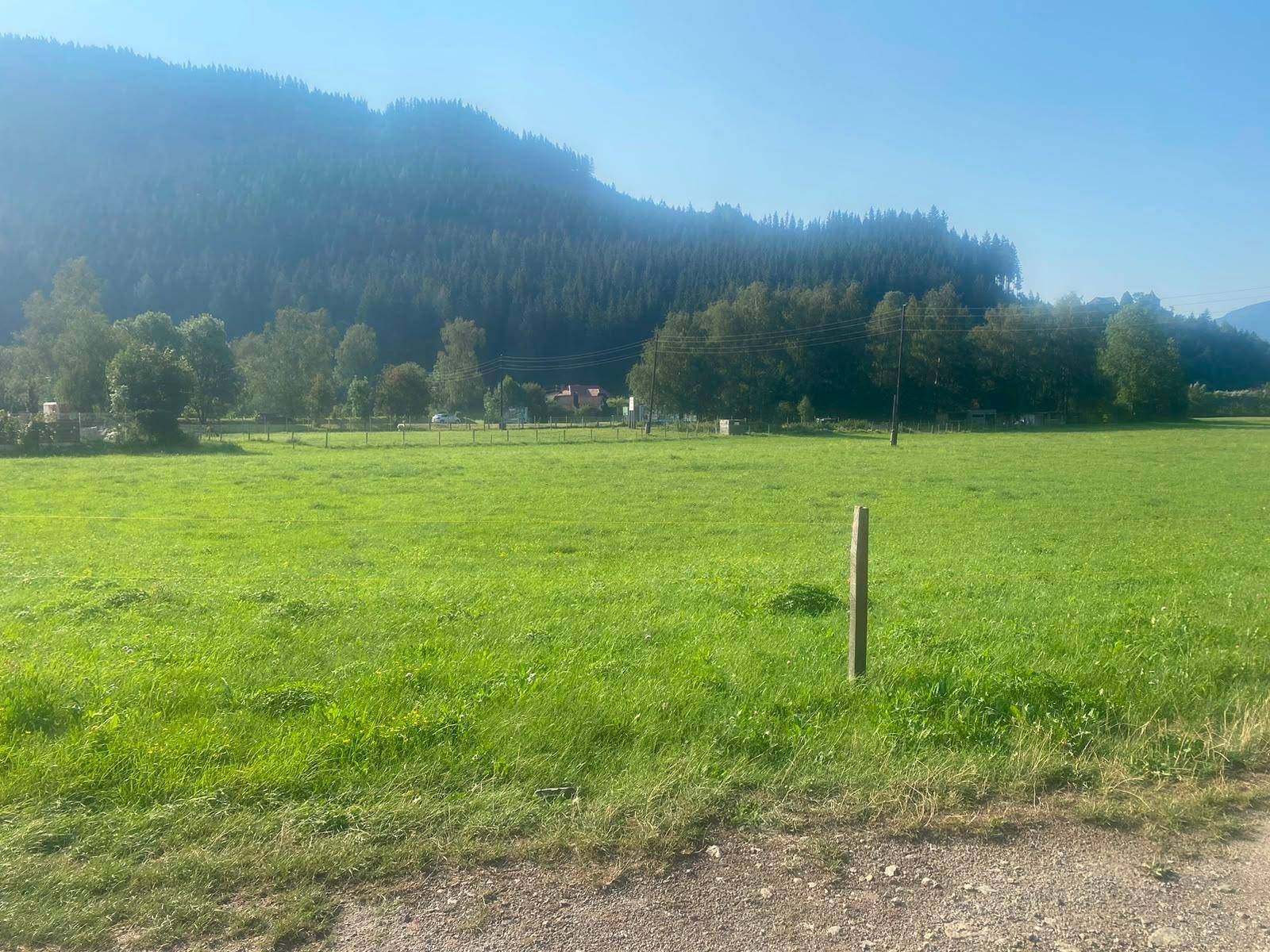 Weite grüne Wiesenlandschaft mit bewaldeten Bergen unter klarem blauen Himmel.