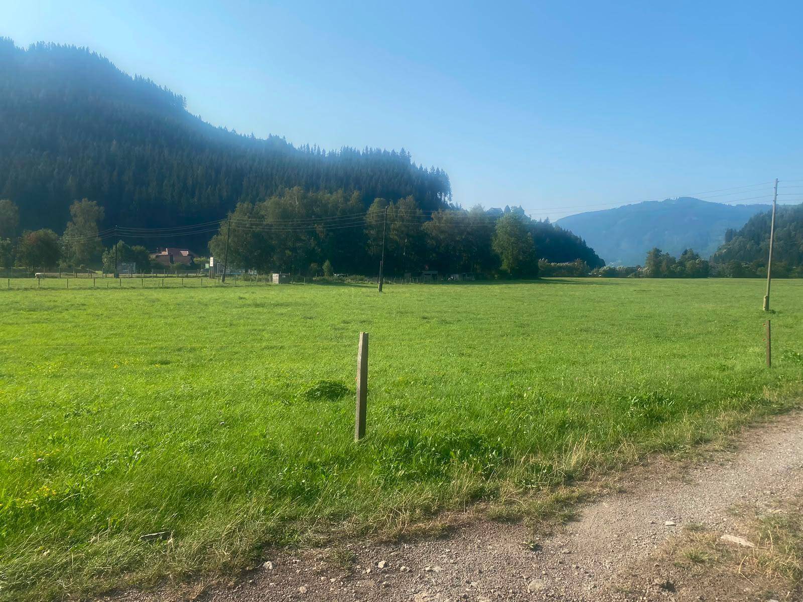 Weite grüne Wiesenlandschaft mit bewaldeten Bergen unter klarem blauen Himmel.