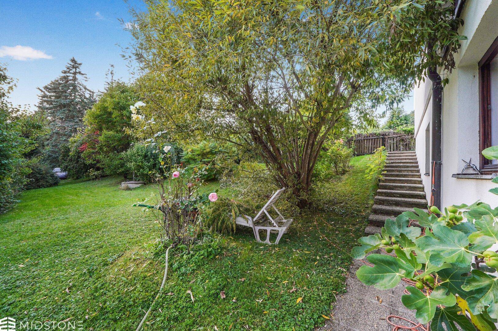 Naturbelassener Garten mit Bäumen, Sträuchern und einer Steintreppe.