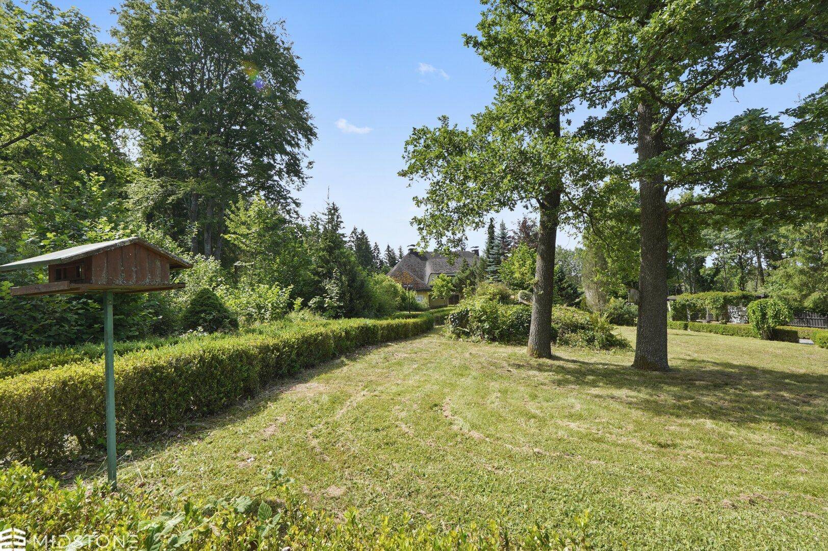 Großer Garten mit Rasenfläche, alten Bäumen und einem Vogelhäuschen.