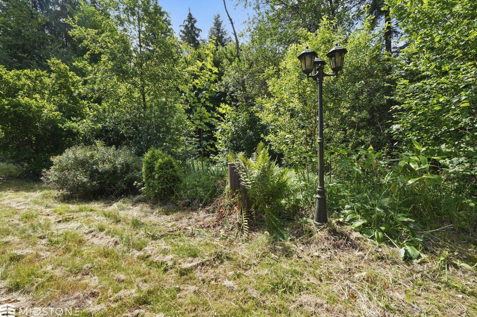 Gartenbereich mit Laterne und üppiger Vegetation, umgeben von Bäumen unter blauem Himmel.
