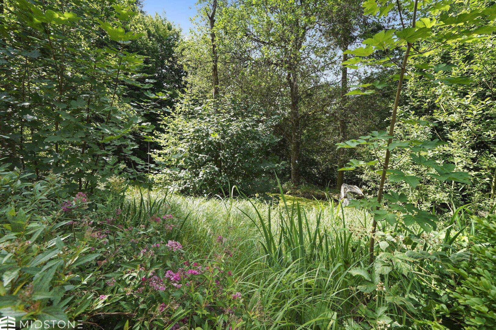 Naturbelassener Gartenbereich mit hohen Gräsern und blühenden Pflanzen, umgeben von dichtem Grün.