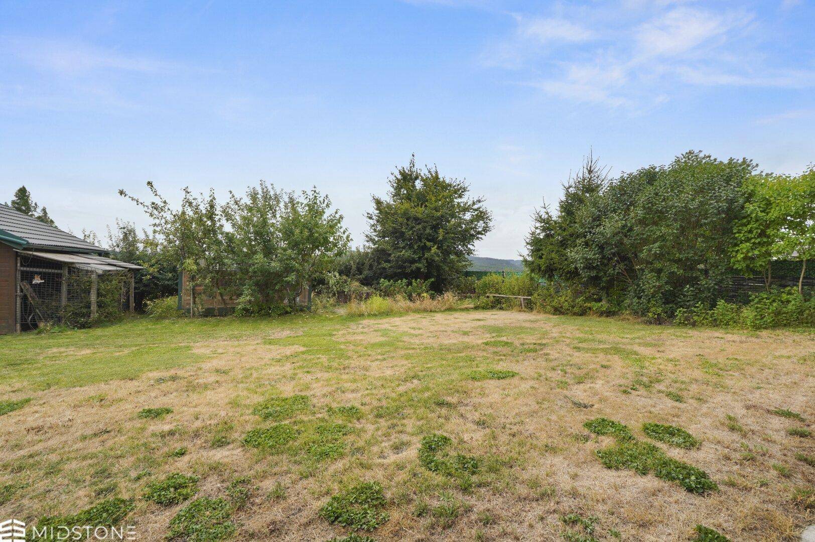Großer, weitläufiger Garten mit Rasenfläche und altem Baumbestand.