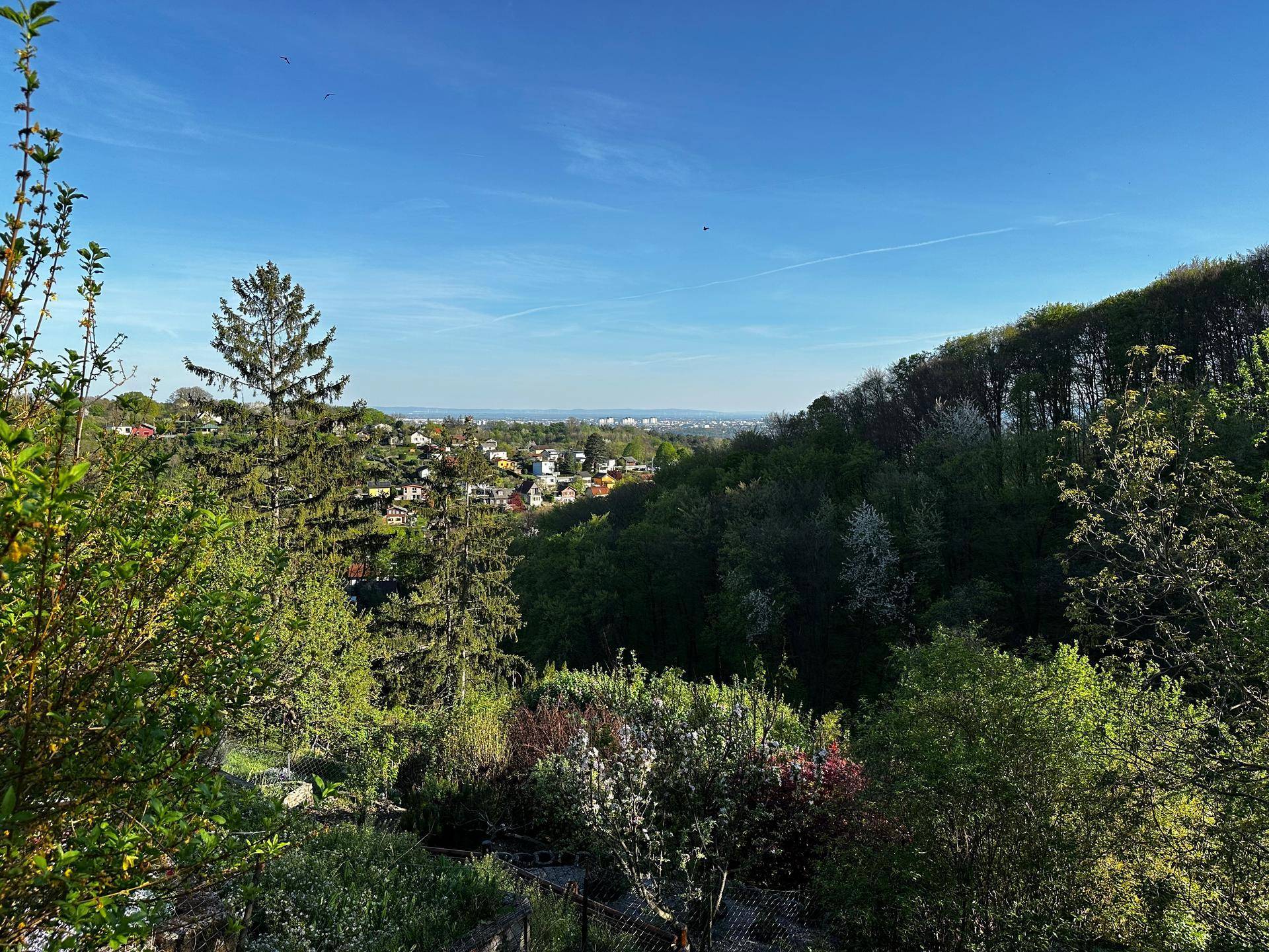 Panoramablick über die grüne Landschaft und die Stadt am Horizont.