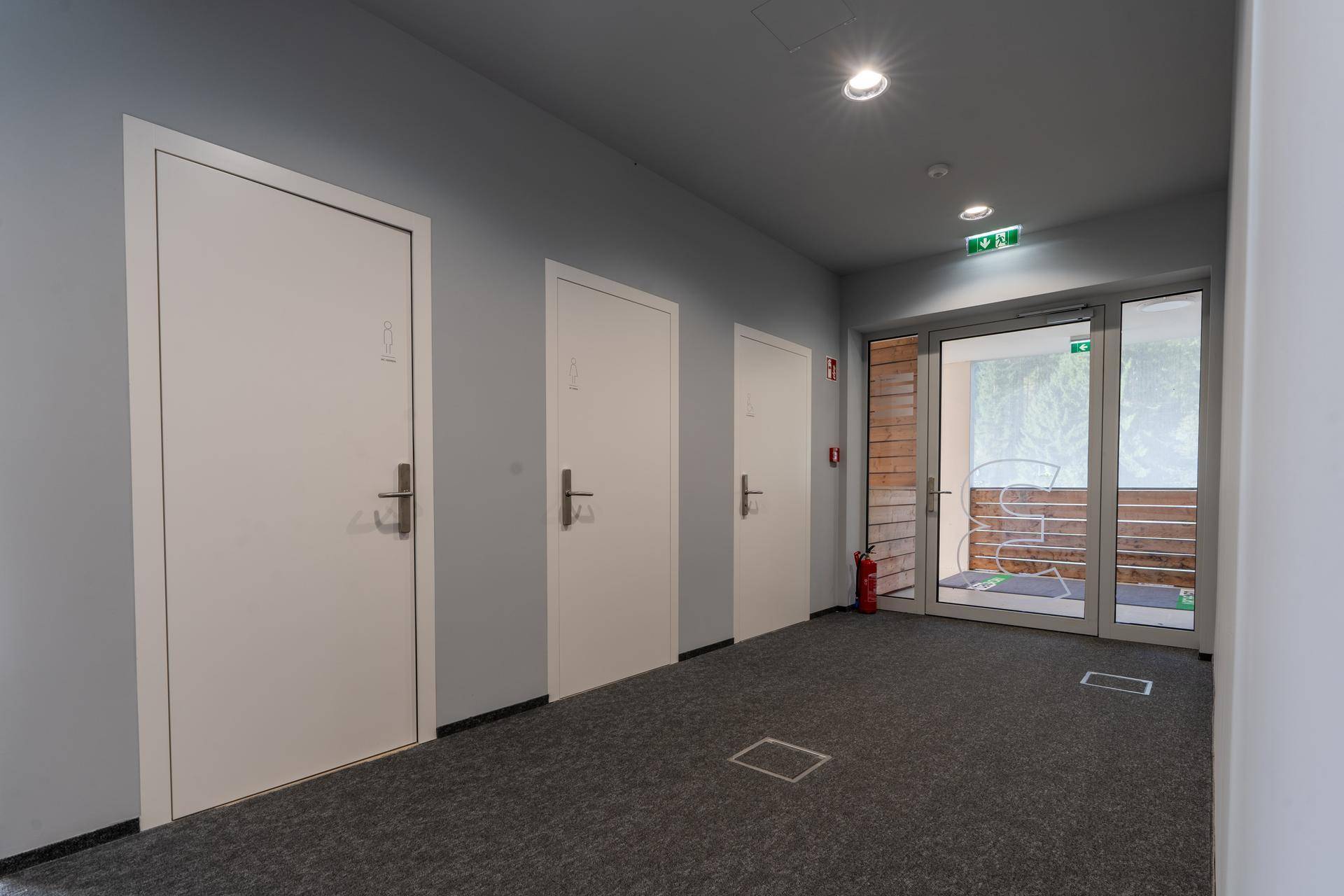 Moderner Flur mit Teppichboden, mehreren Türen und einem Ausgang zu einem Außenbereich.