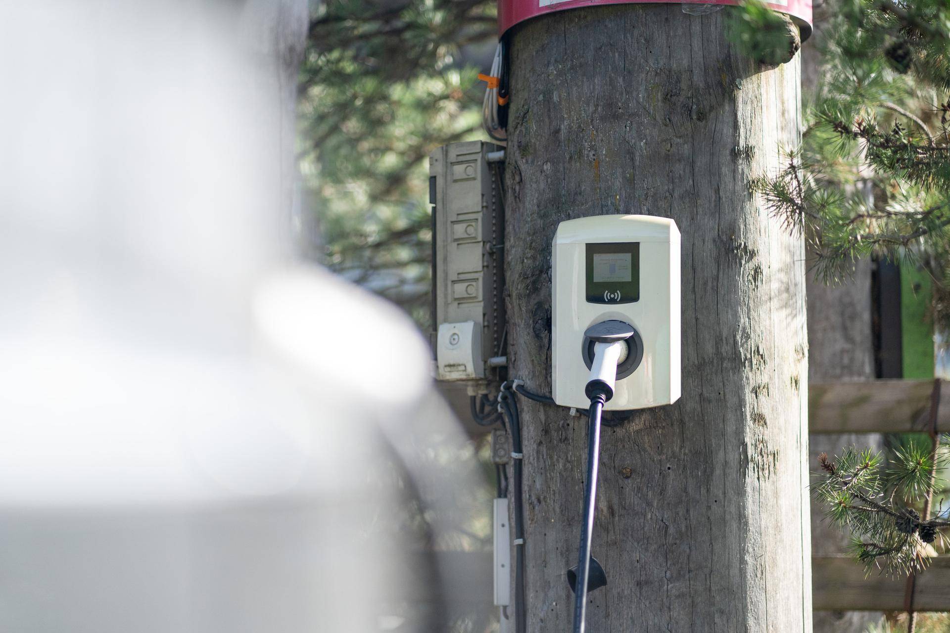 Eine Ladestation für Elektrofahrzeuge, an einem Holzpfosten befestigt, umgeben von Bäumen.