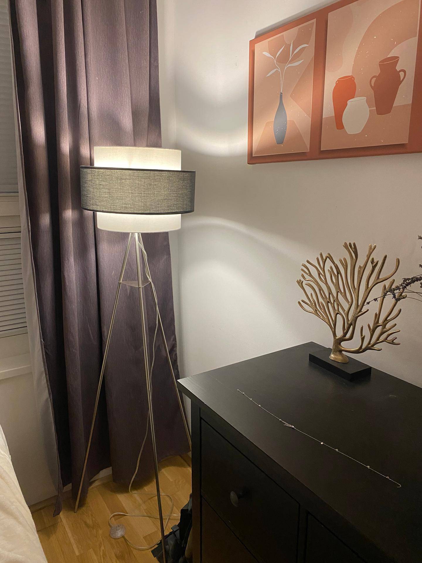 Gemütliche Ecke mit moderner Stehlampe, dunkler Kommode und dekorativen Bildern an der Wand.