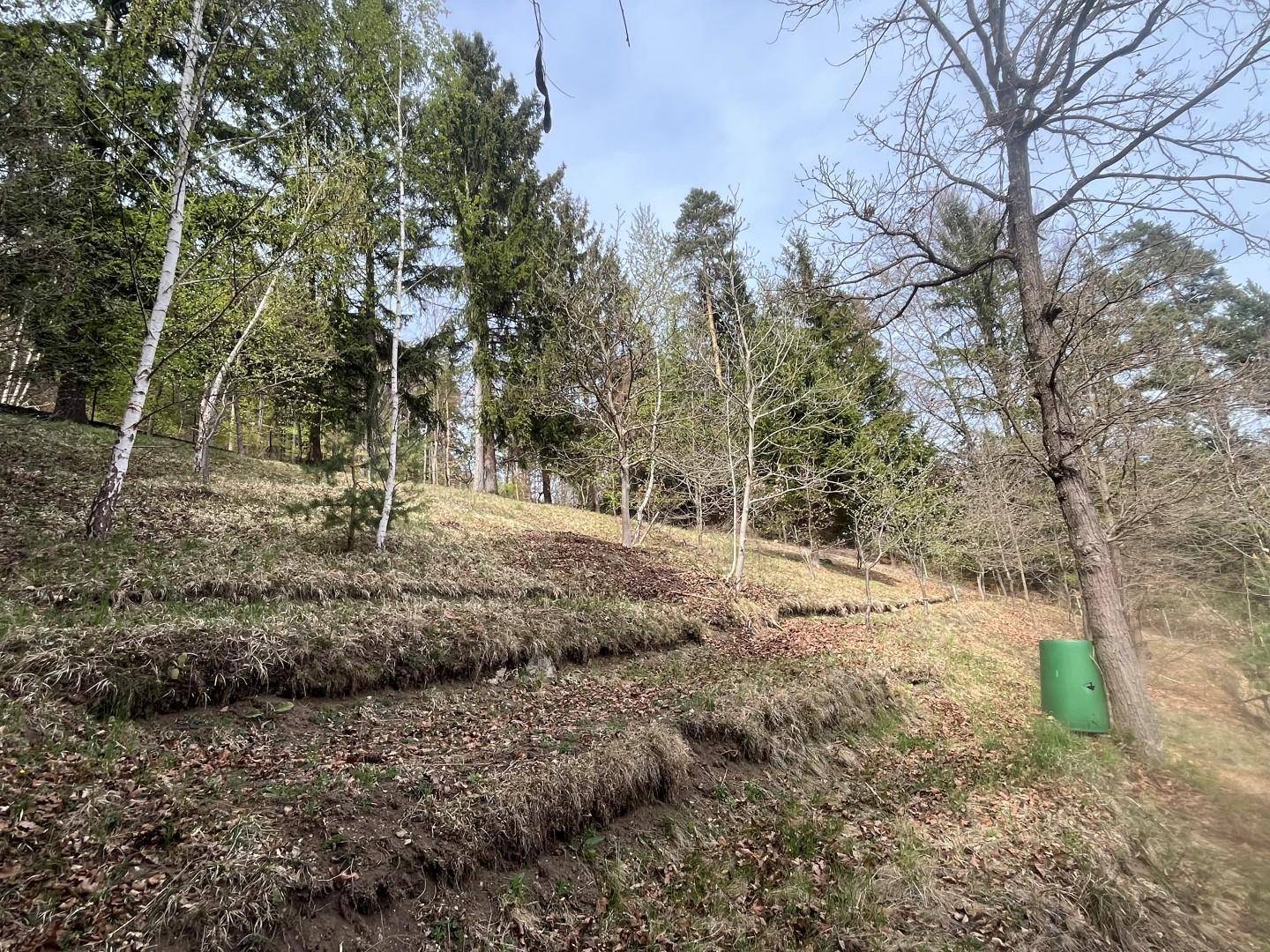 Grüner Hangbereich mit Bäumen und natürlicher Vegetation hinter dem Haus.