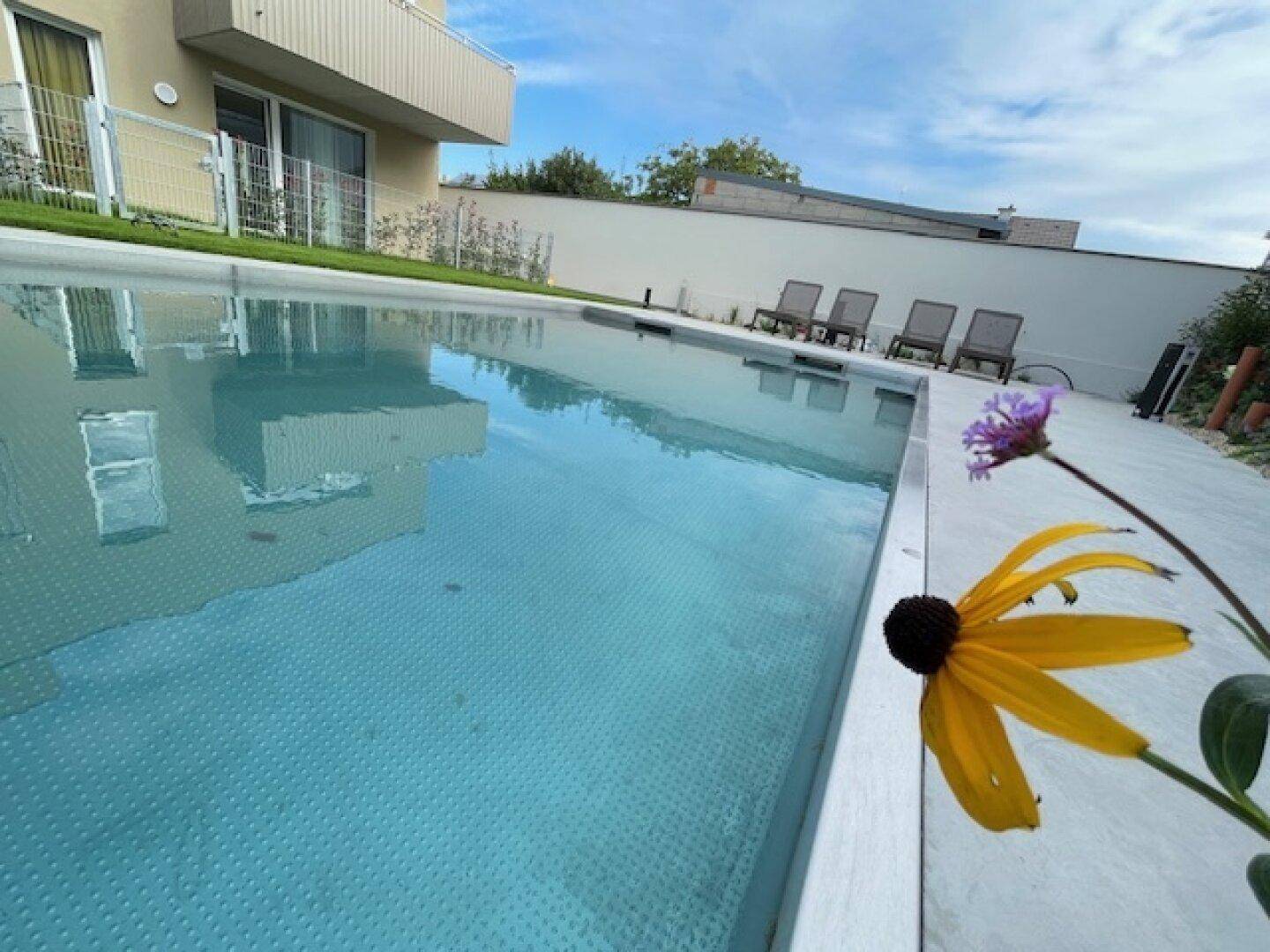 Nahaufnahme des Außenpools mit klarem Wasser und einer bunten Blume im Vordergrund.