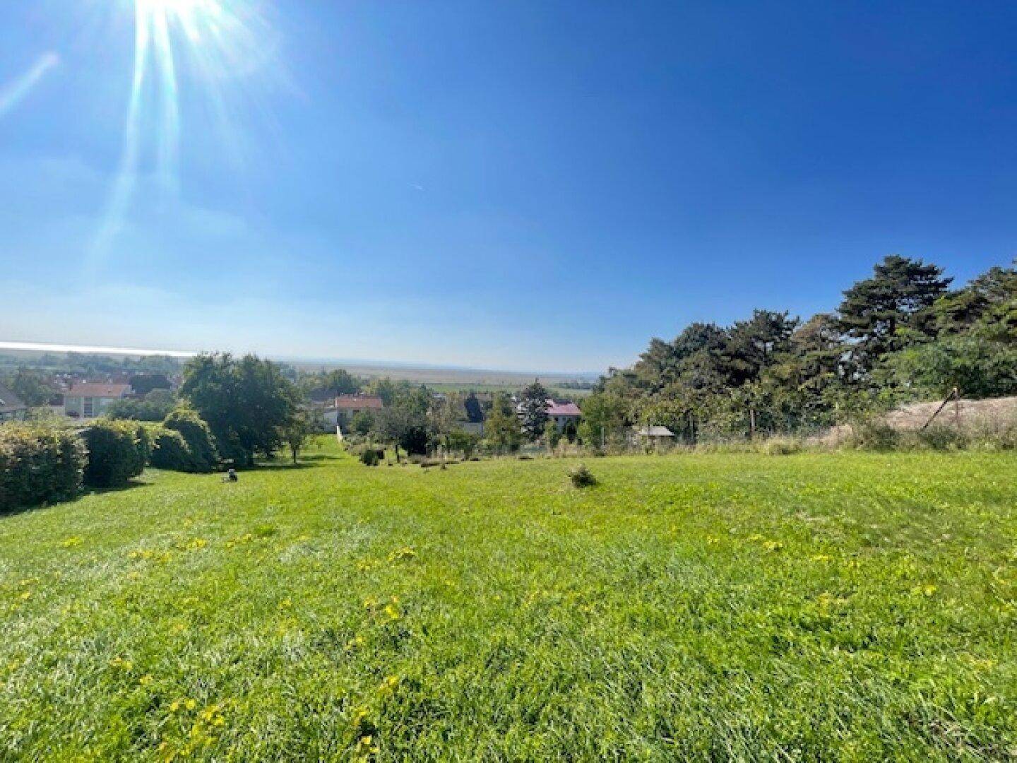 Offene Grünfläche mit weitem Blick über die ländliche Umgebung und Baumgruppen am Horizont.