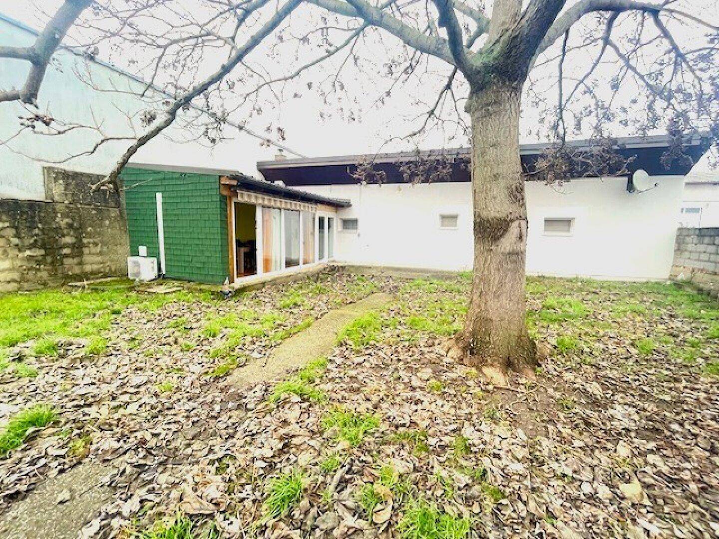 Rückansicht des Hauses mit großem Baum im Garten und einer grünen Erweiterung.