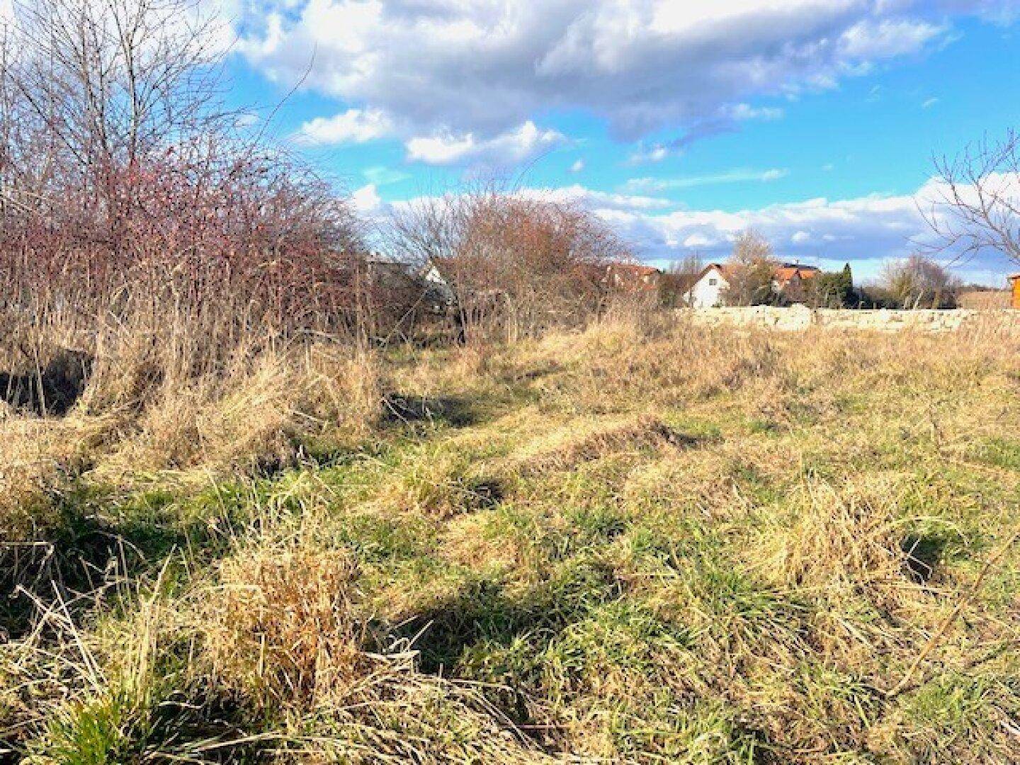 Sonniges Grundstück mit Weitblick – Eckgrundstück! - Ansicht 3