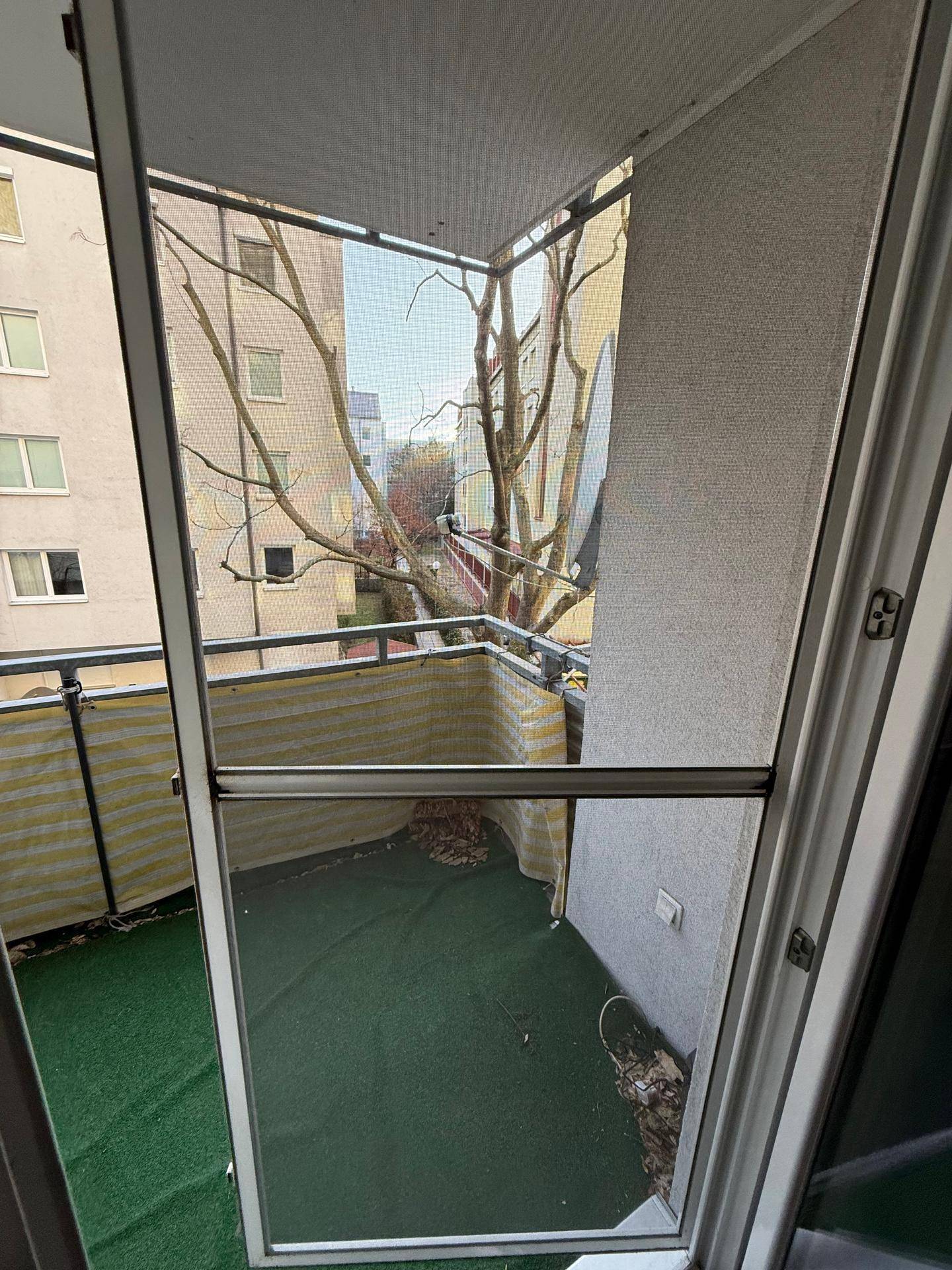 Balkon mit Blick auf einen Baum und die umliegende Wohnbebauung.
