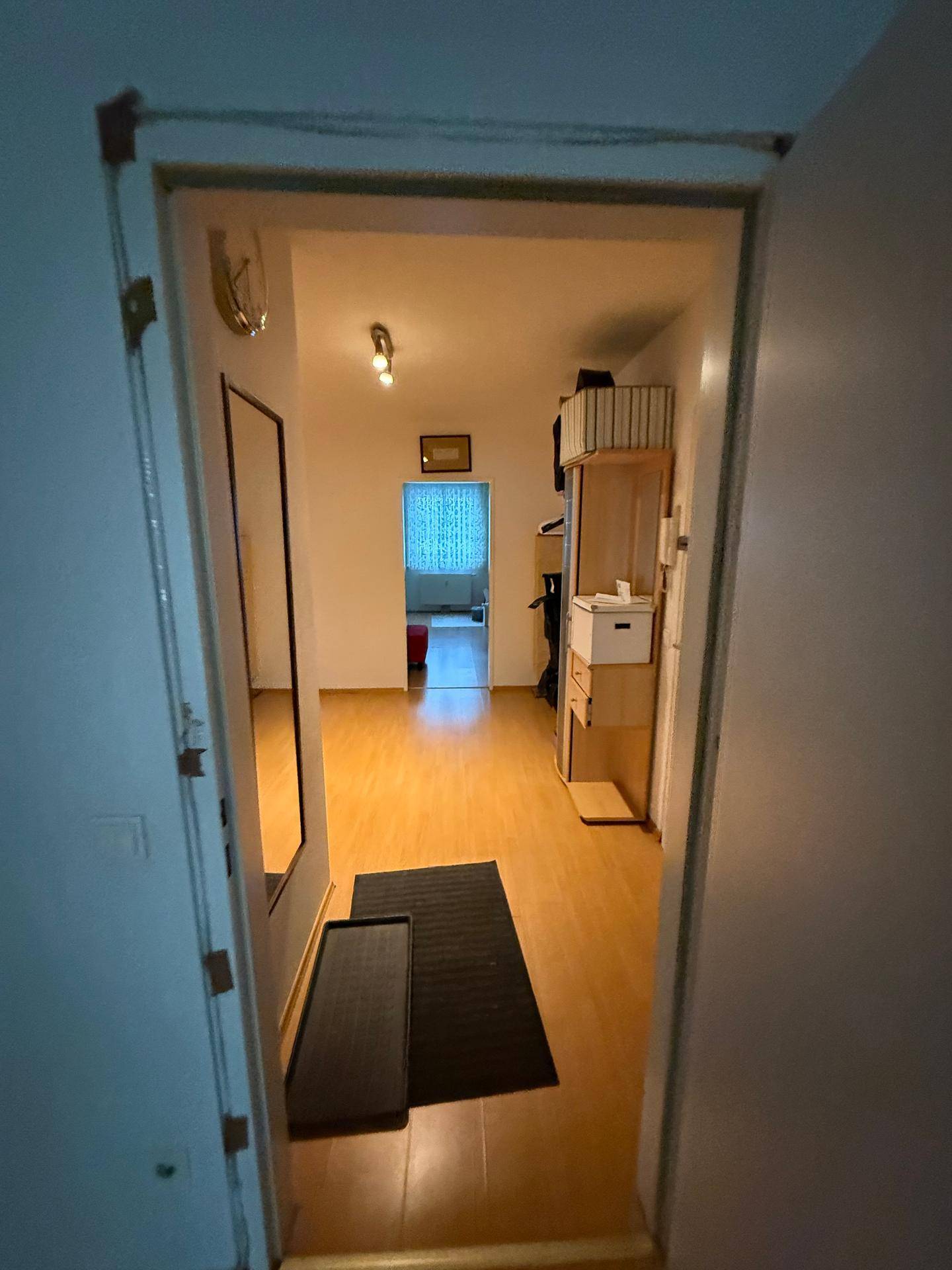 Heller Flur mit Laminatboden, einem Spiegel und Durchgang zu weiteren Räumen.
