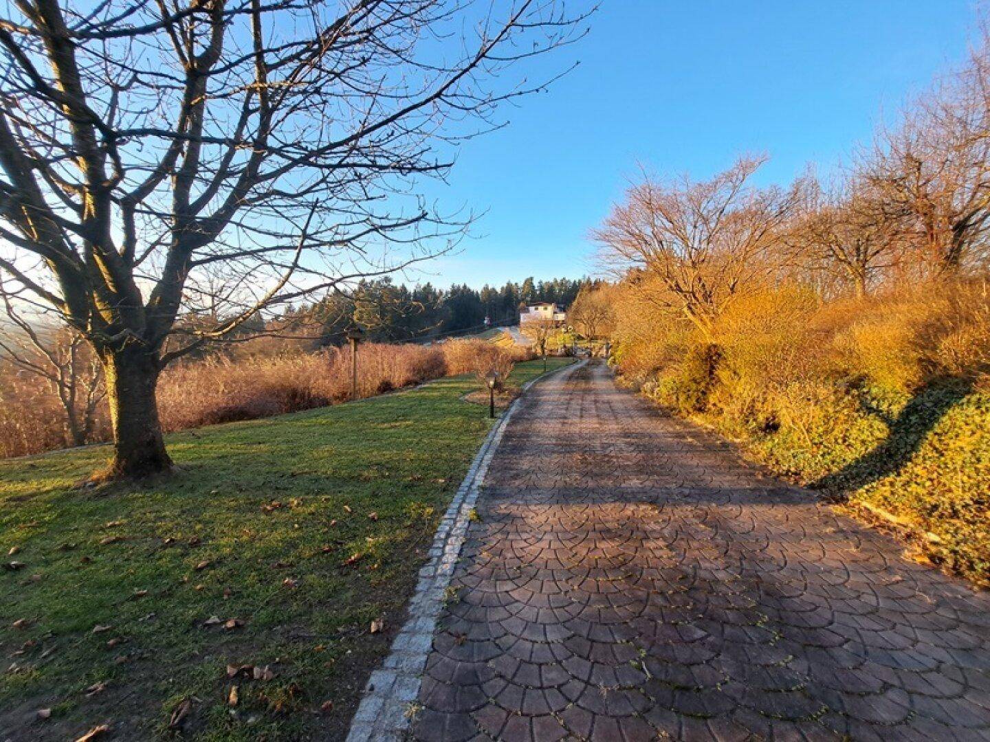 Geschwungener gepflasterter Weg durch die grüne Landschaft, umgeben von Bäumen und Sträuchern.