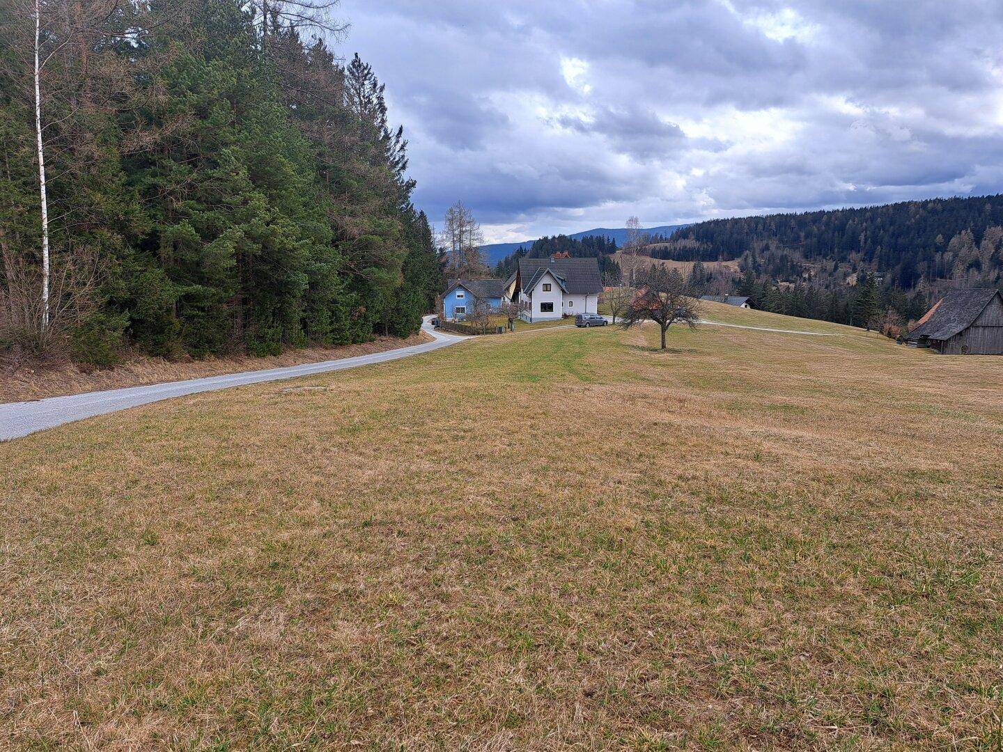 Malerische Landschaft mit weiten Feldern, Waldrand und einem kleinen Weg, der zum Haus führt.