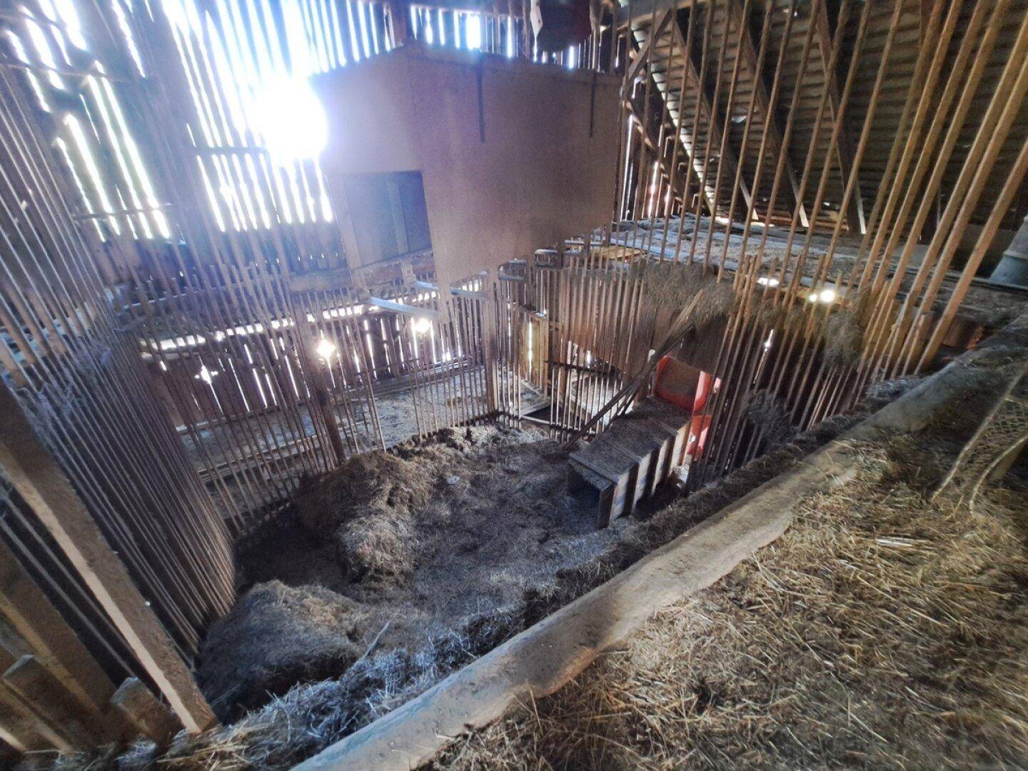 Geräumiger Innenbereich einer Scheune mit Heu und sichtbaren Holzbalken, hell beleuchtet.