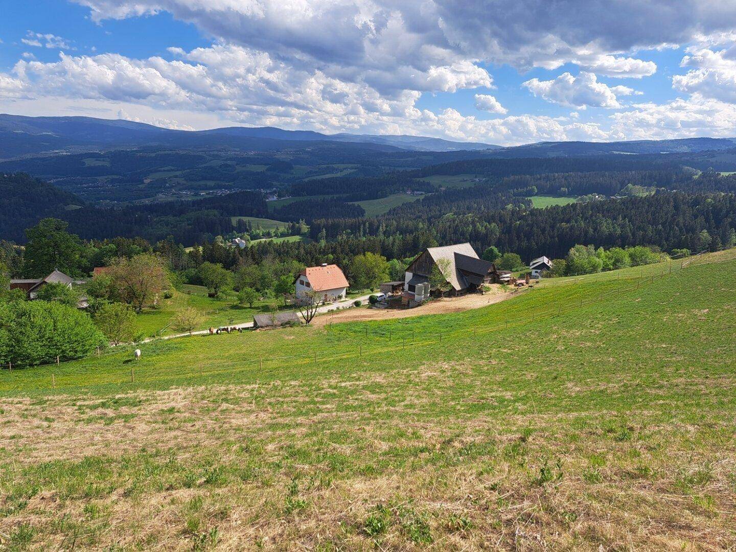Panoramablick über die weite, grüne Landschaft mit vereinzelten Häusern und Bergen im Hintergrund.