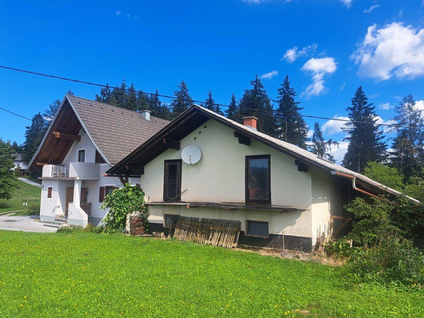 Zwei Wohnhäuser in ländlicher Umgebung mit grüner Wiese und Wald im Hintergrund.