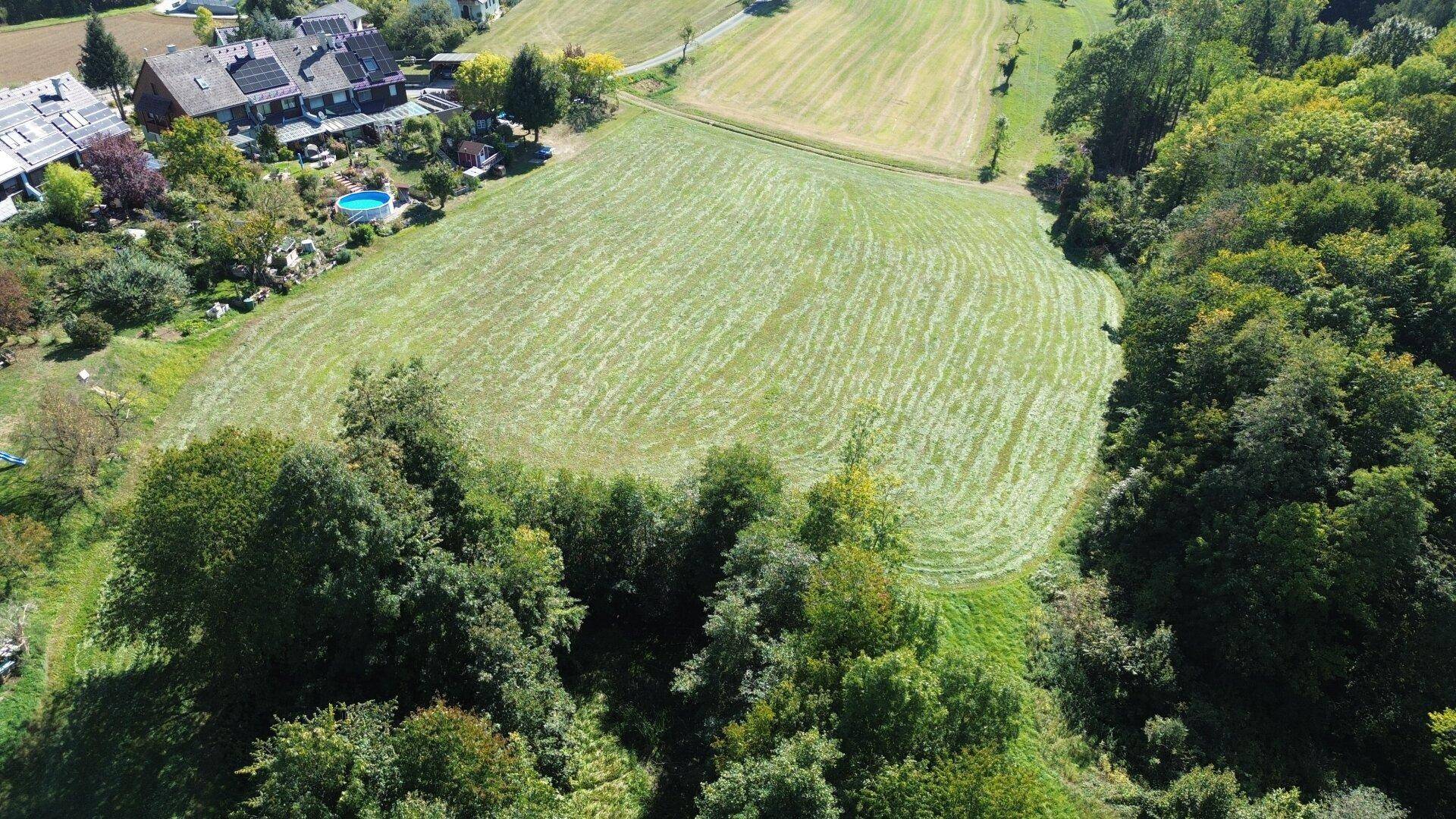 Luftaufnahme eines weitläufigen grünen Feldes, umgeben von Wald und einigen Häusern mit einem Pool in der Ferne.