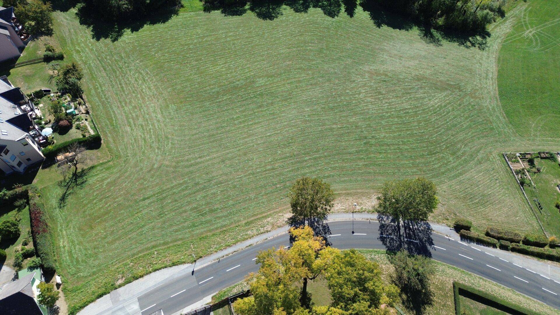 Blick von oben auf ein großes, gemähtes grünes Feld, begrenzt von einer Straße und Bäumen, mit Häusern am Rand.