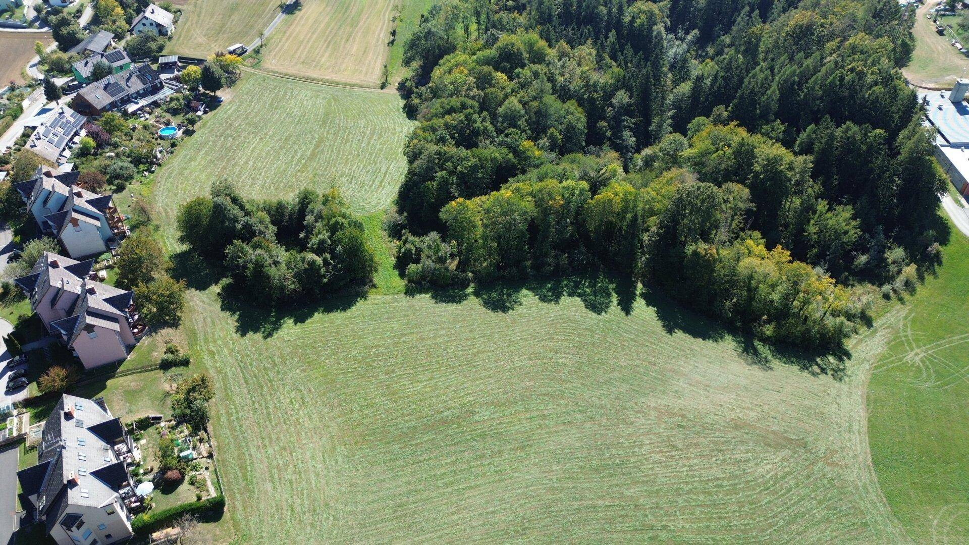 Luftaufnahme eines ausgedehnten grünen Feldes mit einem Waldstück in der Mitte und am Rand, umgeben von Wohnbebauung.