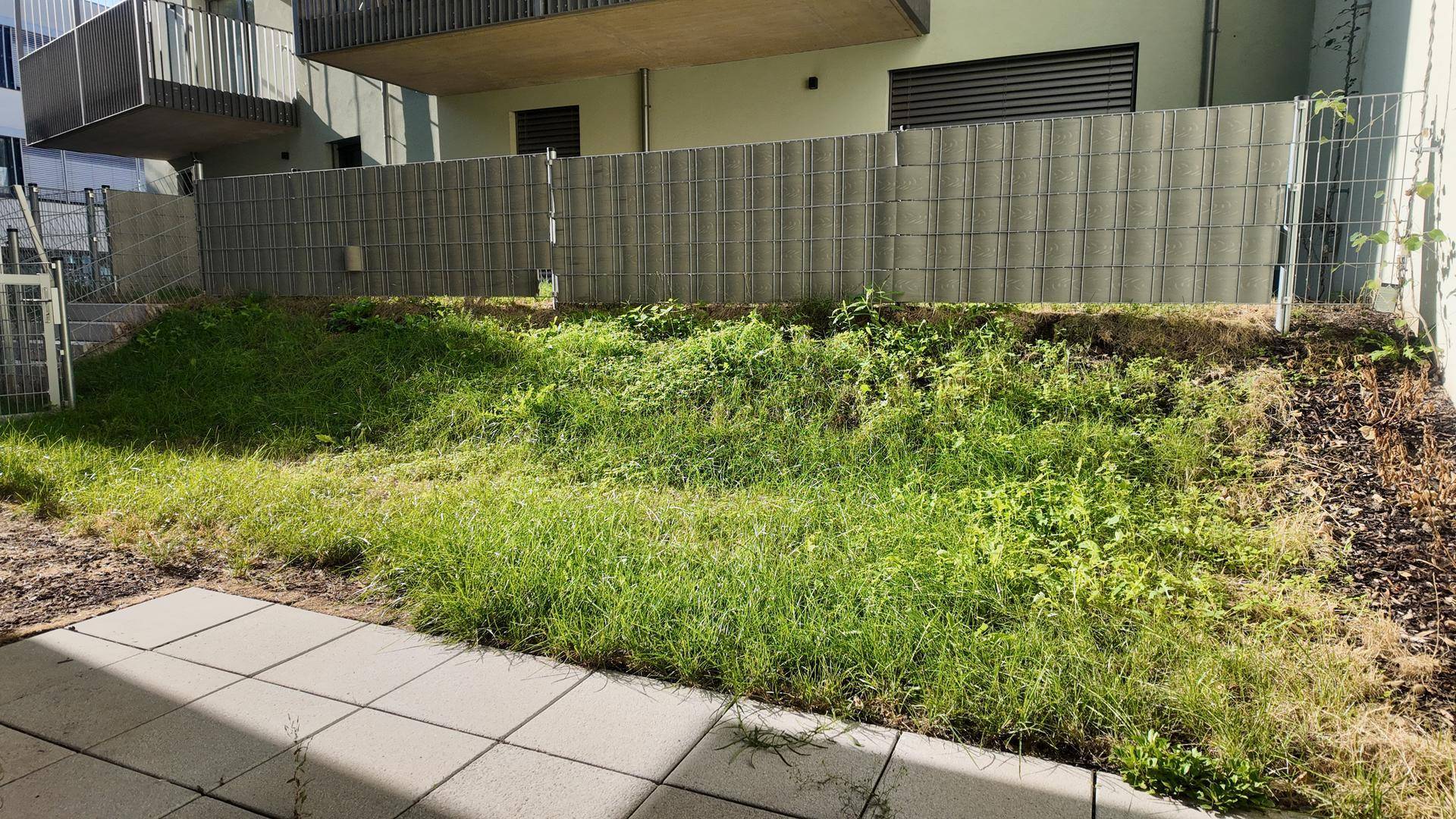 Ungepflegter Gartenbereich mit Rasenfläche, Zaun und angrenzender Terrasse, bereit zur Gestaltung.