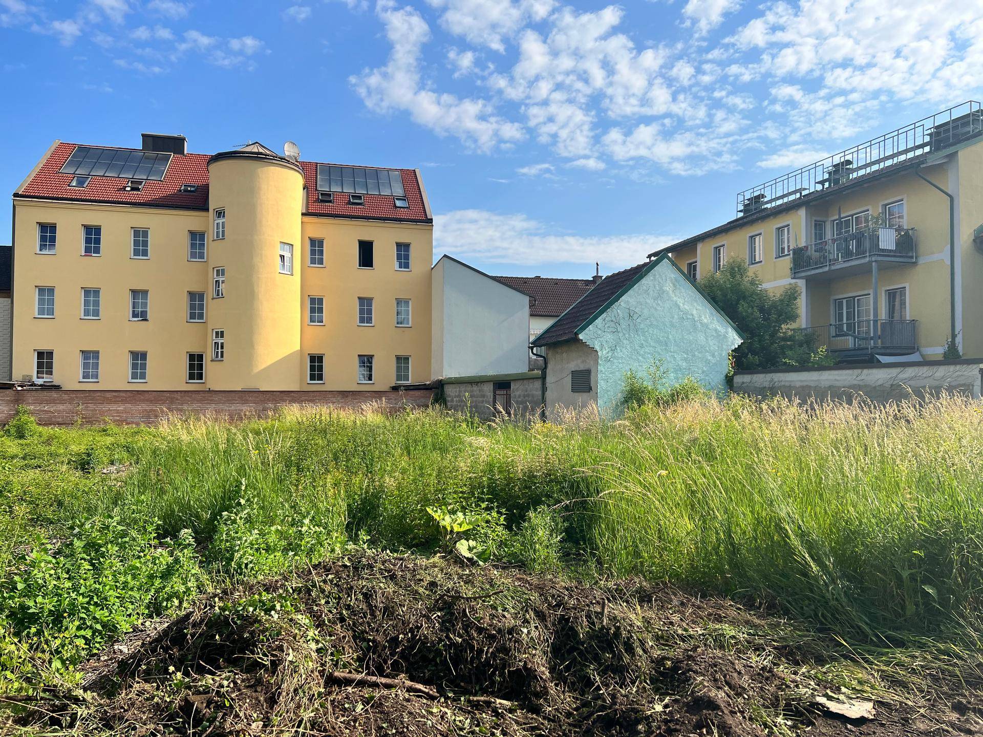 Unbebautes Grundstück mit hohem Gras und verschiedenen Wohngebäuden im Hintergrund.