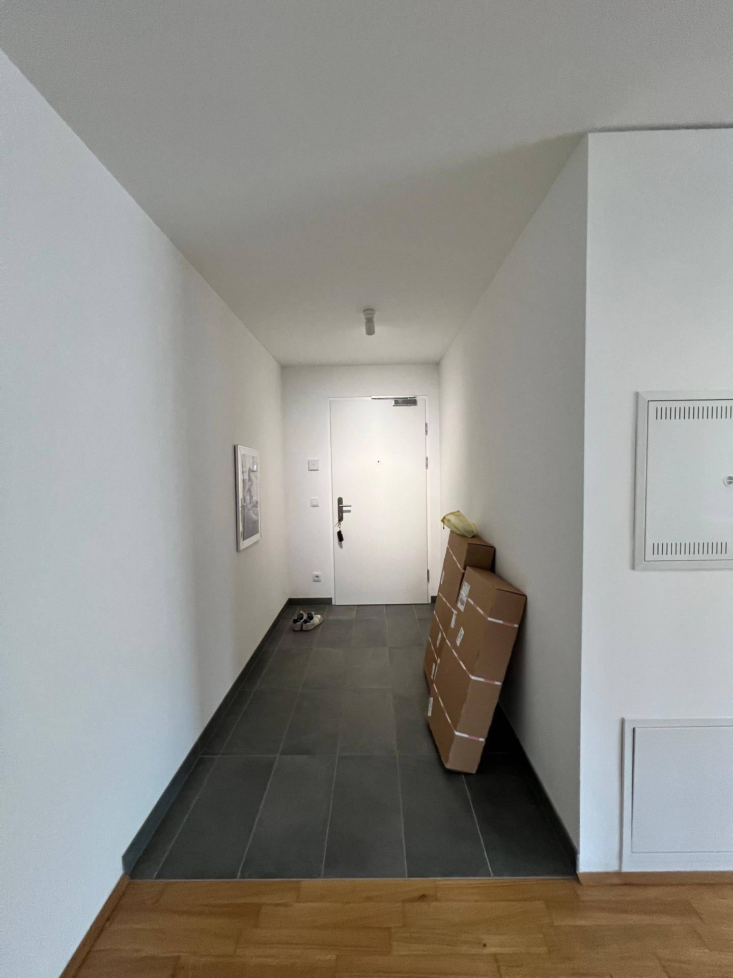 Eingangsbereich mit Fliesenboden, der in Holzboden übergeht, und der Haustür.