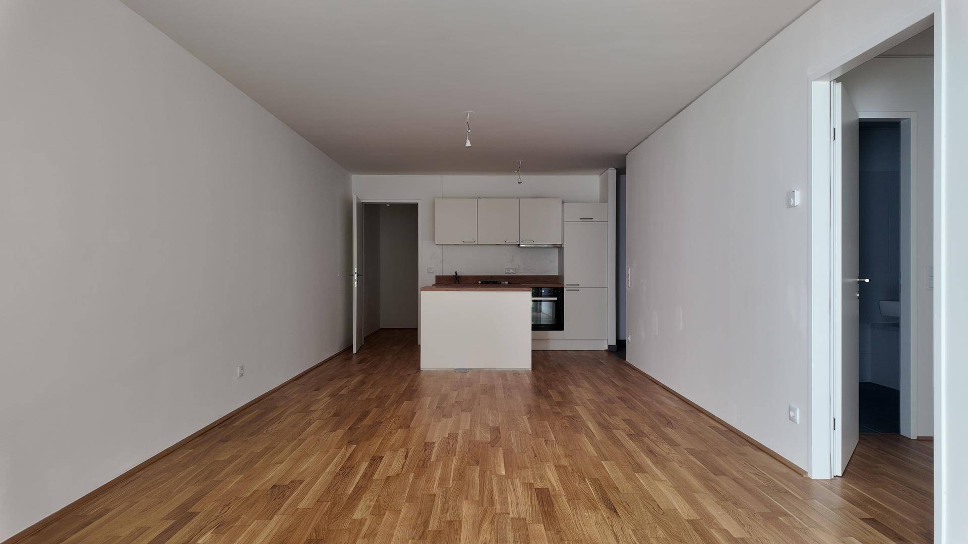 Offener Wohnbereich mit Holzboden und integrierter Küchenzeile im Hintergrund, ideal für modernes Wohnen.