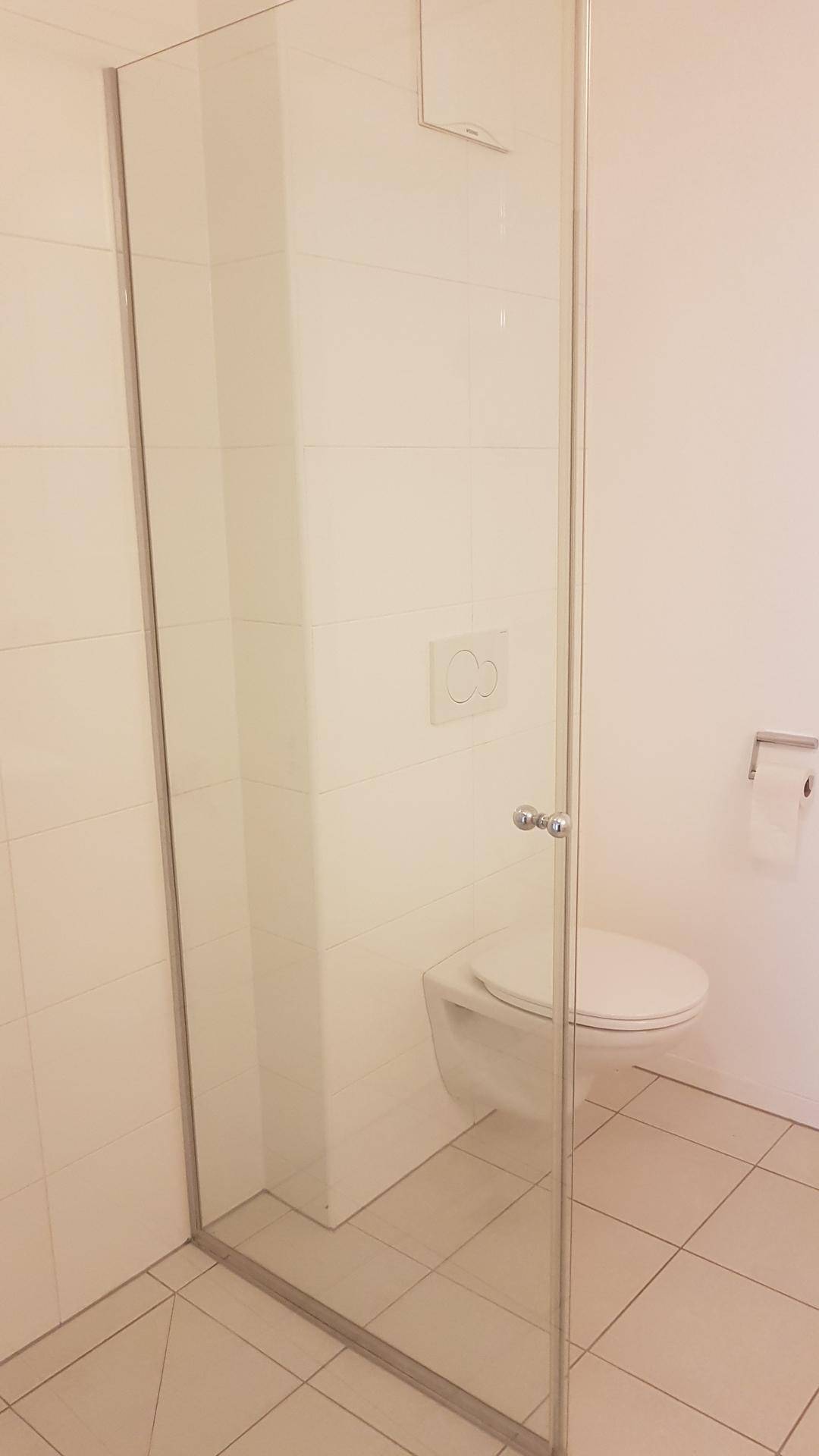 Modernes Badezimmer mit begehbarer Dusche, Wand-WC und hellen Fliesen.