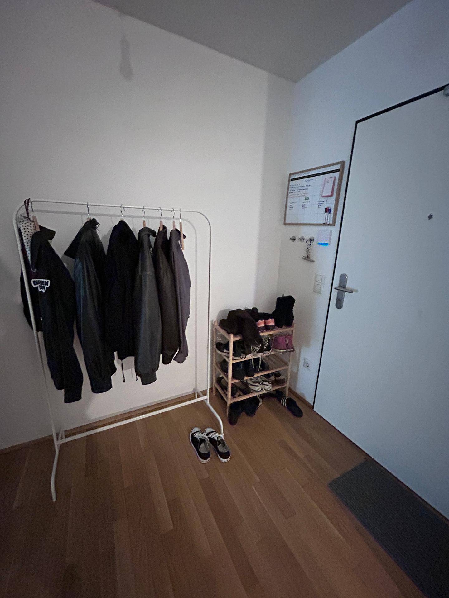 Eingangsbereich mit Garderobe, Schuhregal und der Haustür, ausgestattet mit Holzboden.