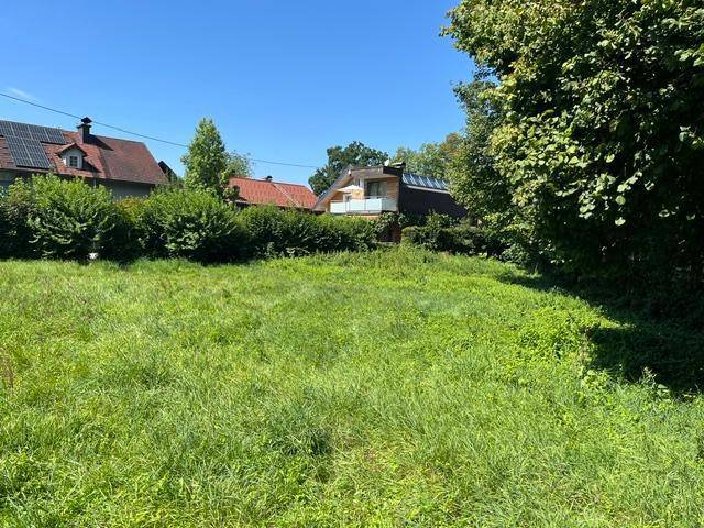 Sonniger Grundstücksbereich mit üppigem Grün und Blick auf umliegende Wohnhäuser.