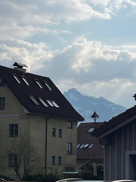 Wohnhäuser mit Dachfenstern und einem schneebedeckten Berg im Hintergrund unter einem bewölkten Himmel.