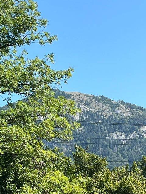 Majestätischer Bergblick mit bewaldeten Hängen unter einem klaren blauen Himmel.