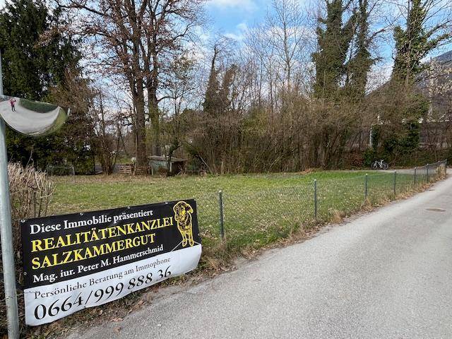 Ein Maklerschild am Straßenrand neben einem Zaun und einer Wiese mit Bäumen im Hintergrund.