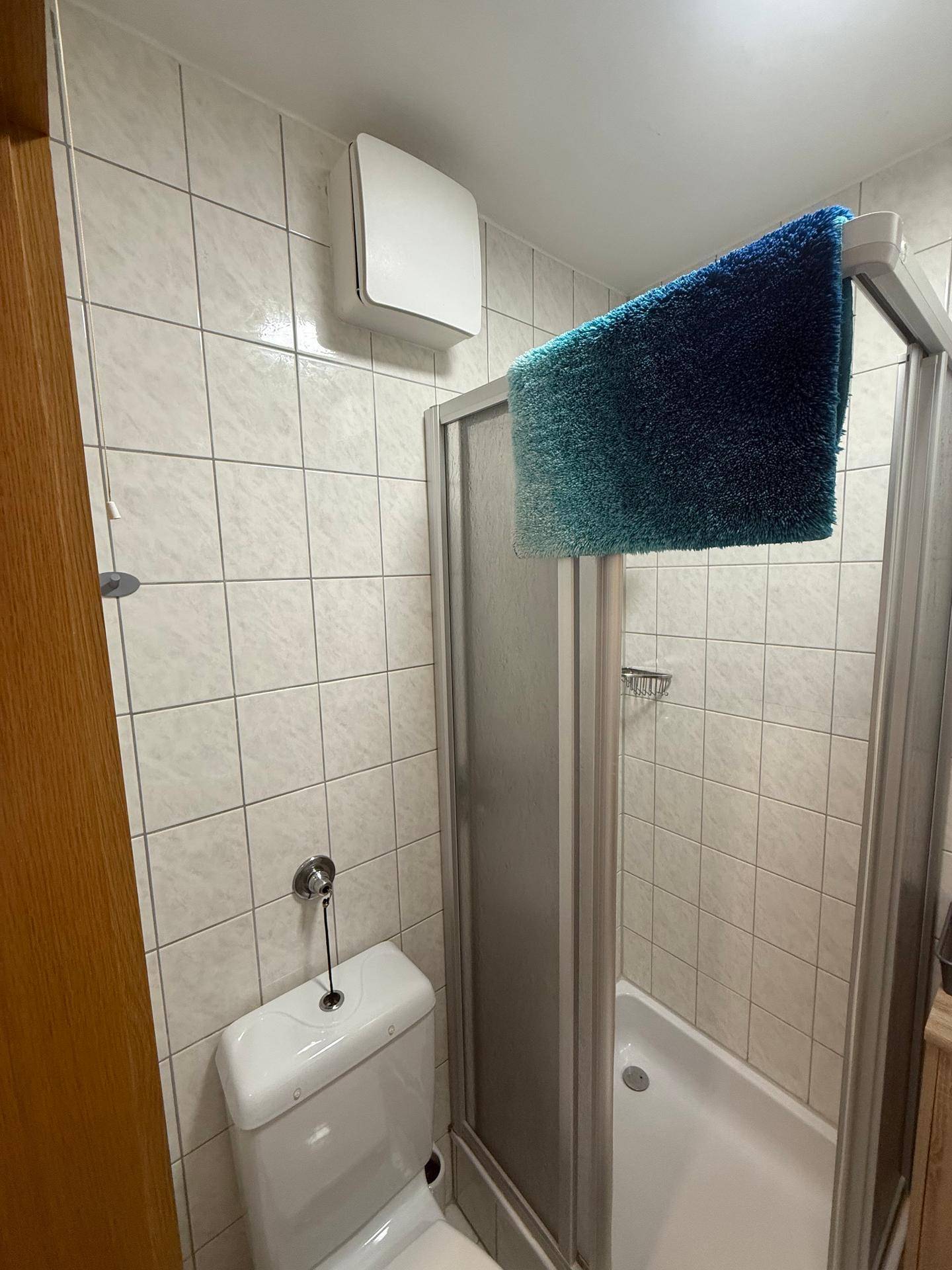 Badezimmer mit Duschkabine, WC und weiß gefliesten Wänden.