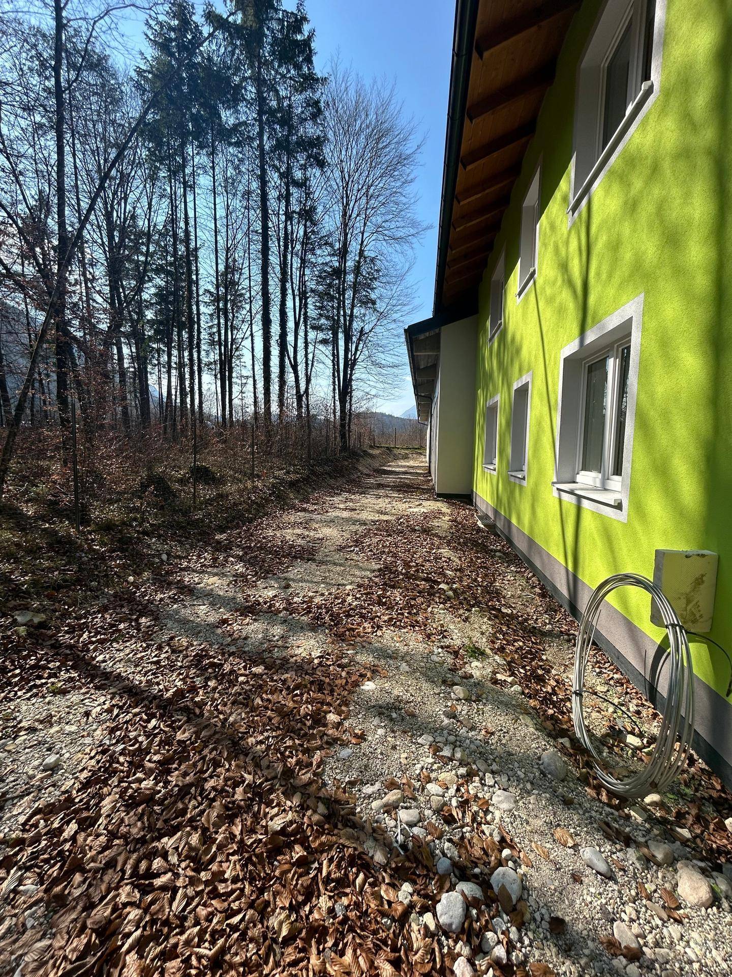 Seitenansicht des grünen Gebäudes mit angrenzendem Waldweg und natürlicher Umgebung unter strahlendem Himmel.