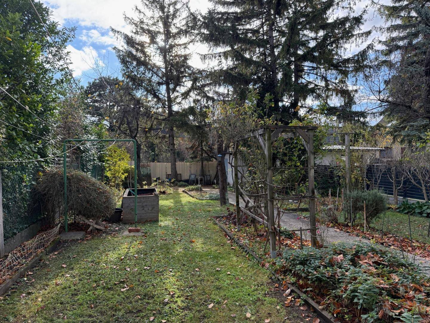 Gepflegter Gartenbereich mit Rasenfläche, hohen Bäumen und Gartenwegen.