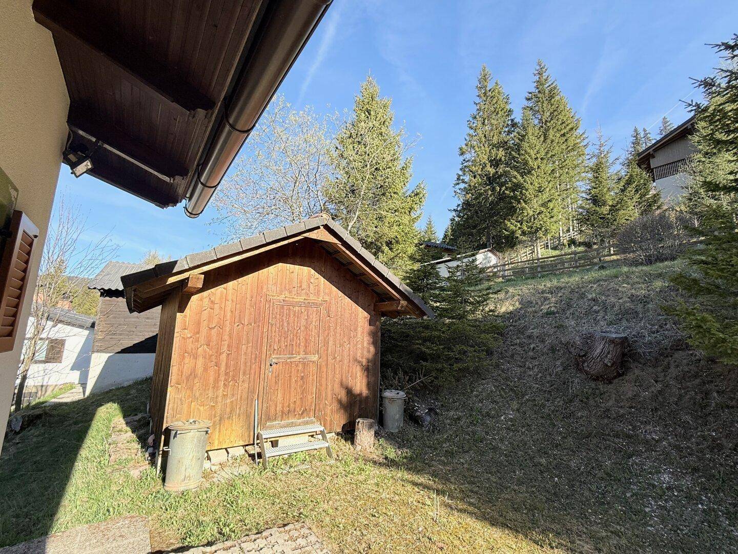 Gartenbereich mit Holzschuppen und viel Grün, umgeben von Bäumen.