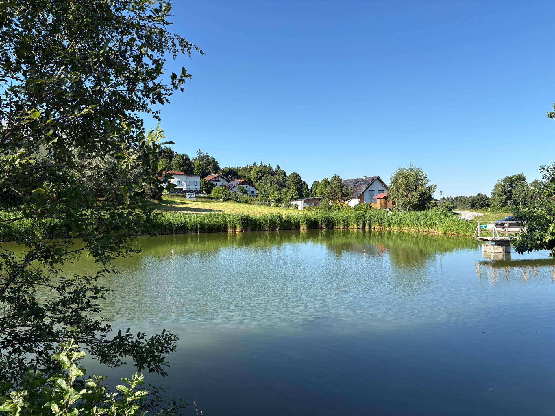 4 Grundstücke direkt am Badeteich im idyllischen Kurort Bad Traunstein - Ansicht 6