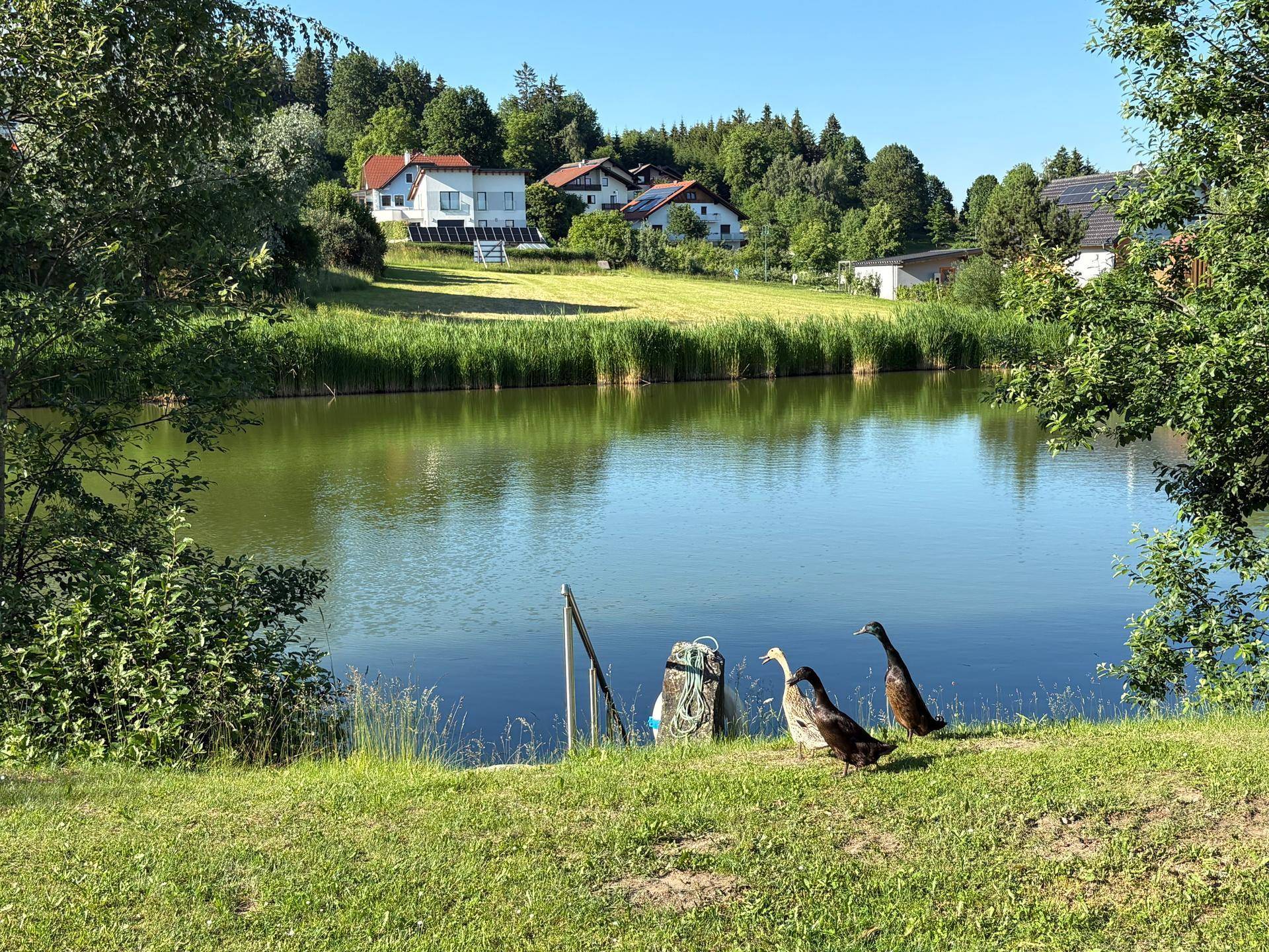 4 Grundstücke direkt am Badeteich im idyllischen Kurort Bad Traunstein - Ansicht 2