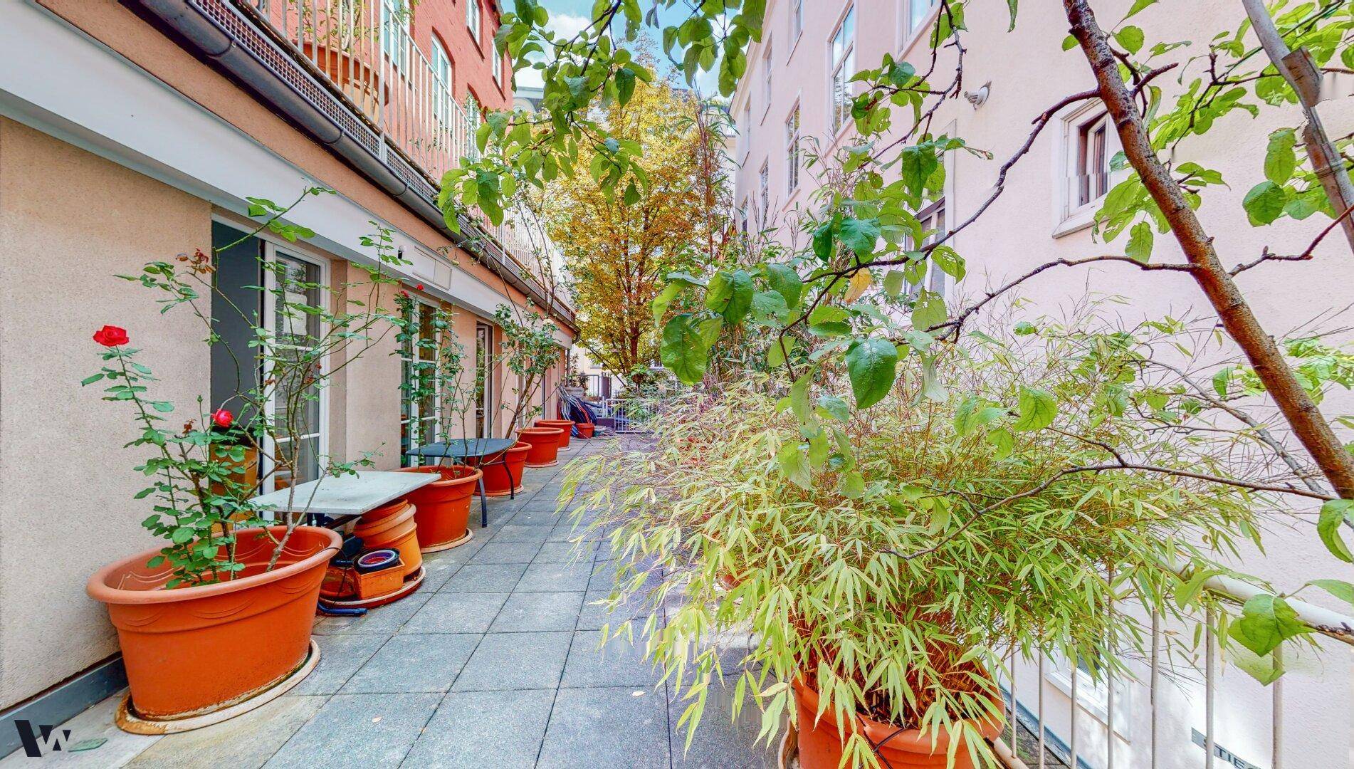 Lange, schmale Terrasse mit vielen Pflanzen in Töpfen und Blick auf die umliegenden Gebäude.