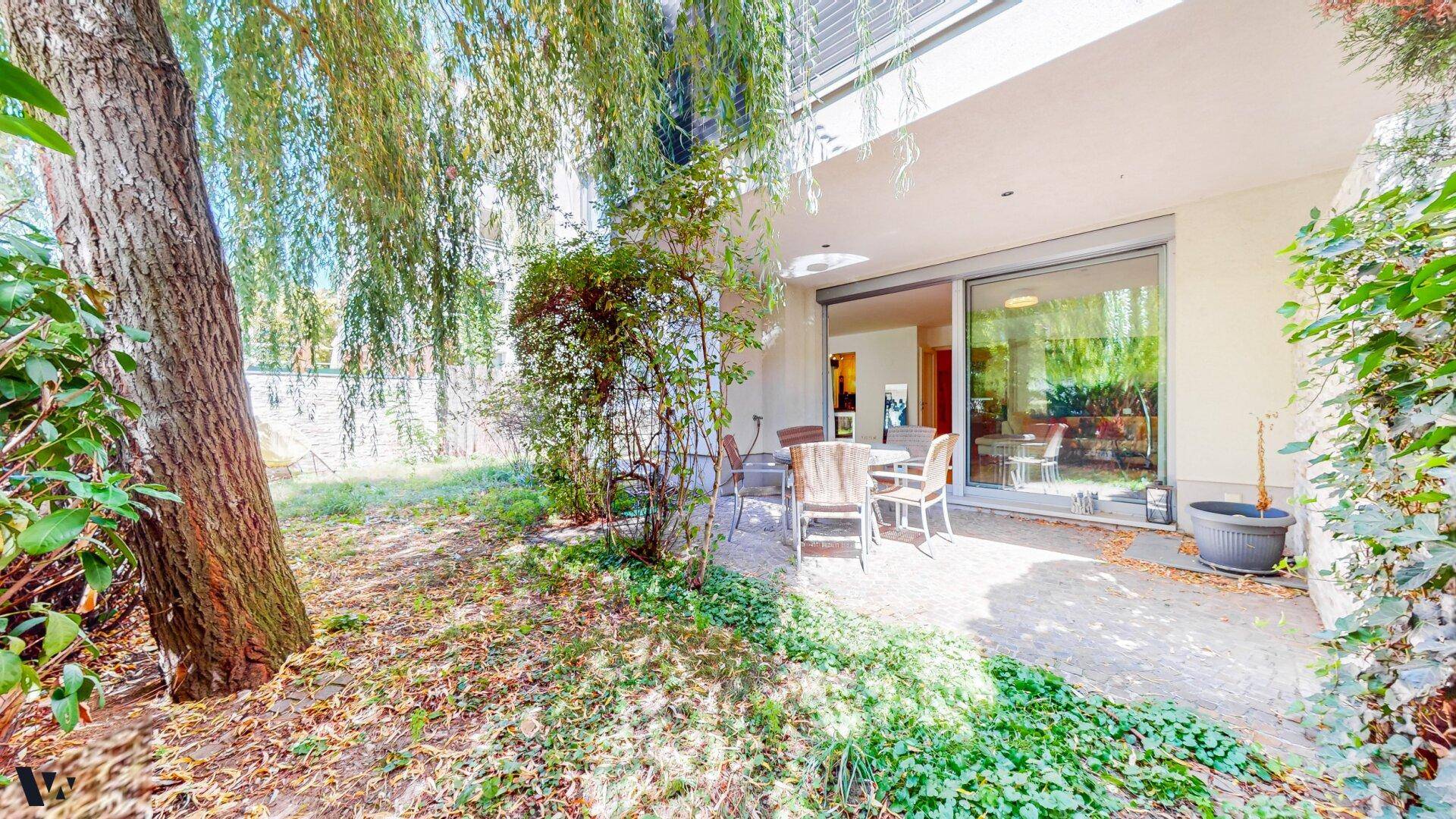 Sonniger Gartenbereich mit kleiner Terrasse, altem Baum und direktem Zugang zum Haus.