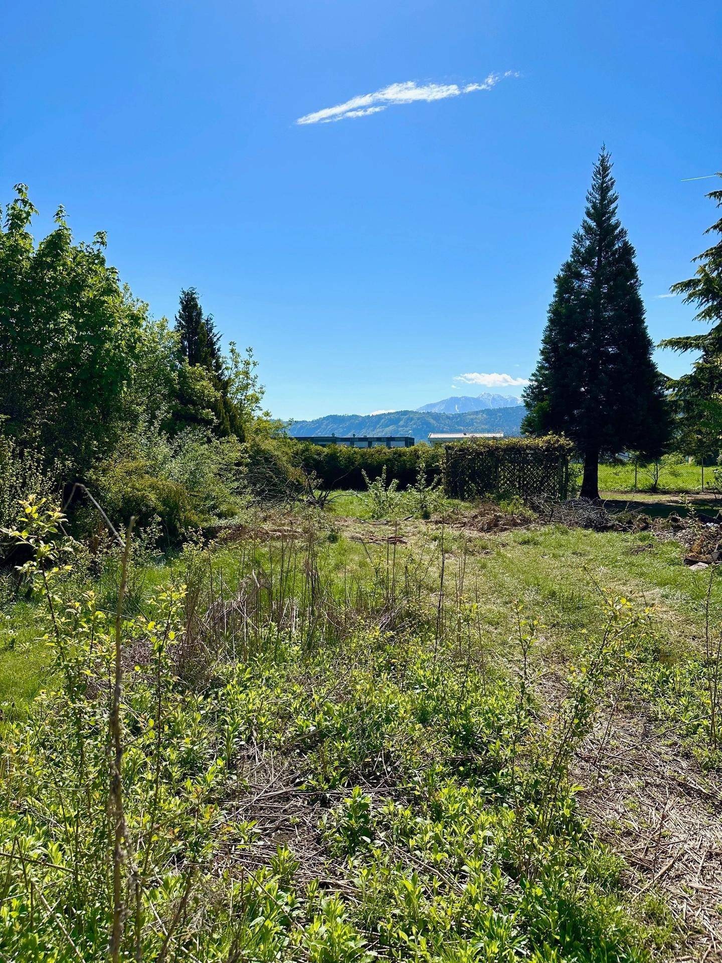 Offenes, sonniges Grundstück mit Blick auf eine Bergkette und üppige Vegetation.
