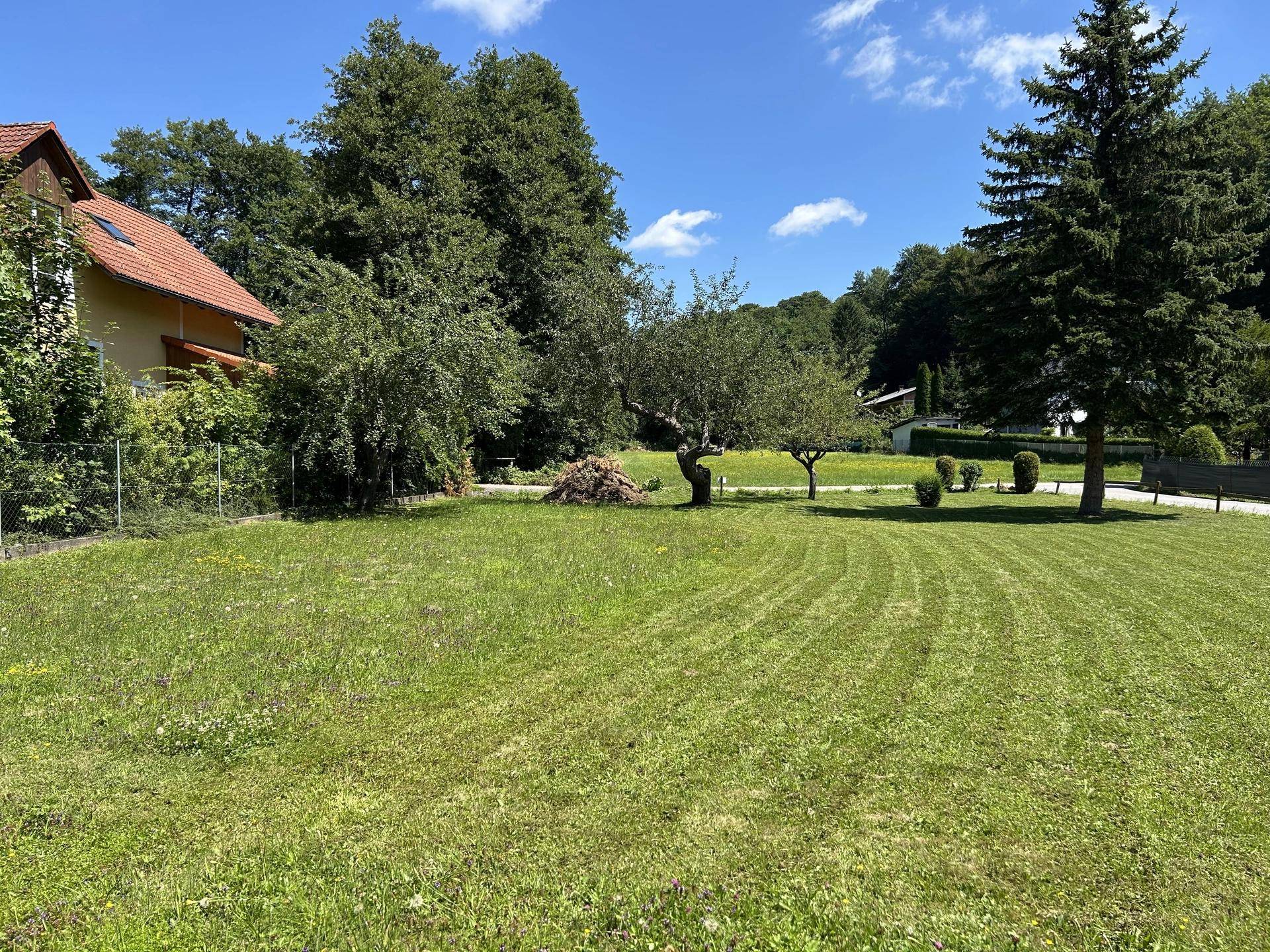 Sonniges, weitläufiges grünes Grundstück mit Bäumen und einem Haus im Hintergrund an einem klaren Tag.