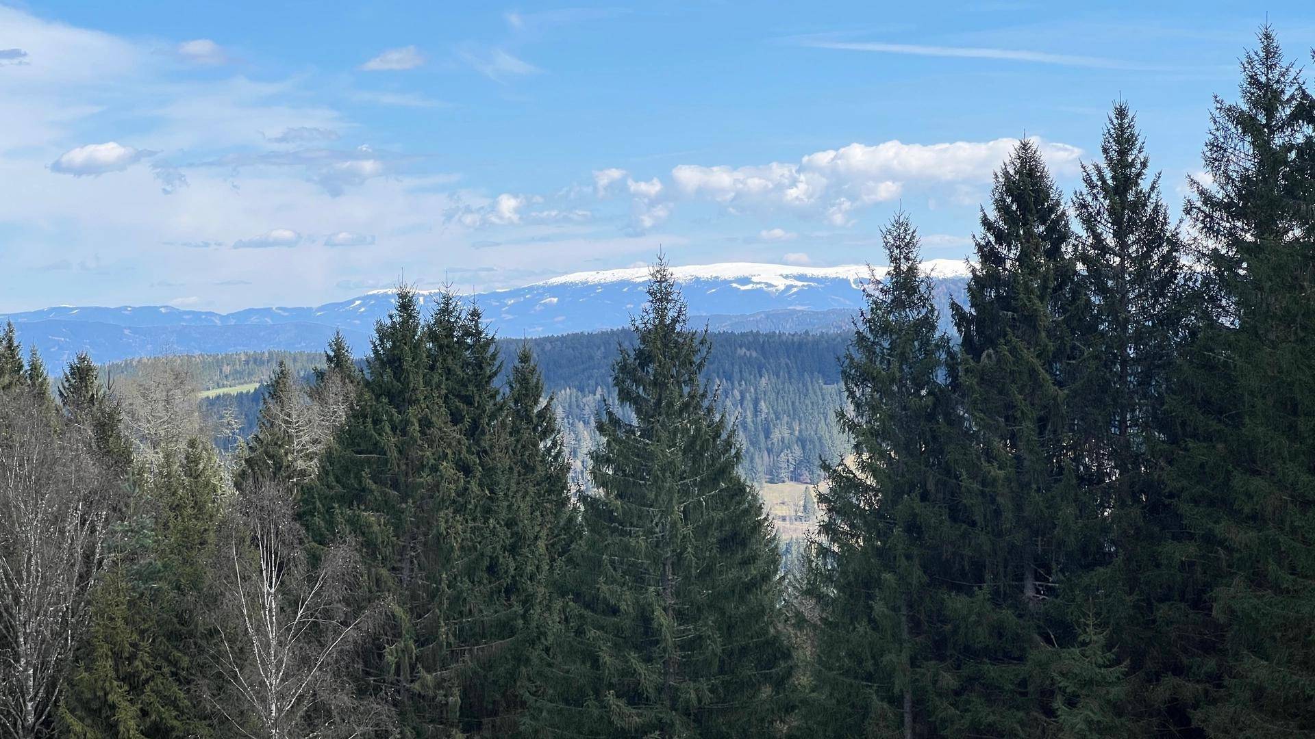 Weitläufiger Blick über bewaldete Hügel und schneebedeckte Berge unter blauem Himmel.