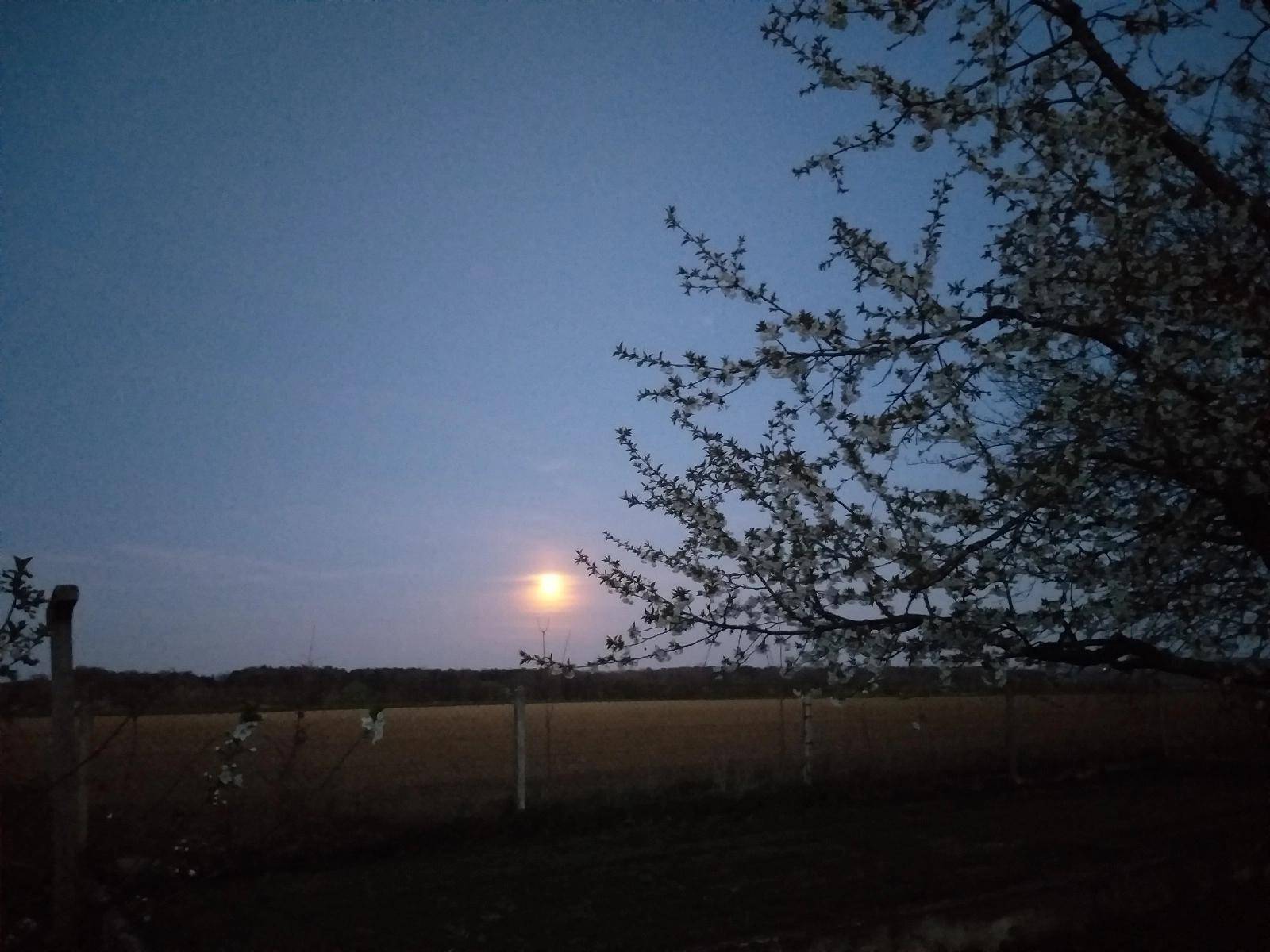 Nachbargrundstück bei Nacht.jpeg